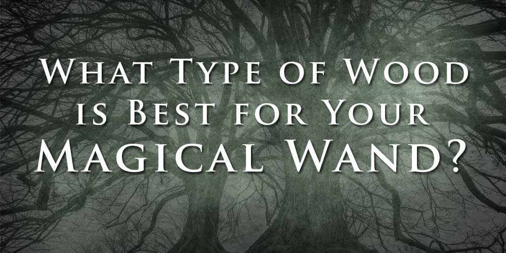 What Type of Wood is Best for Your Magical Wand? - 13 Moons