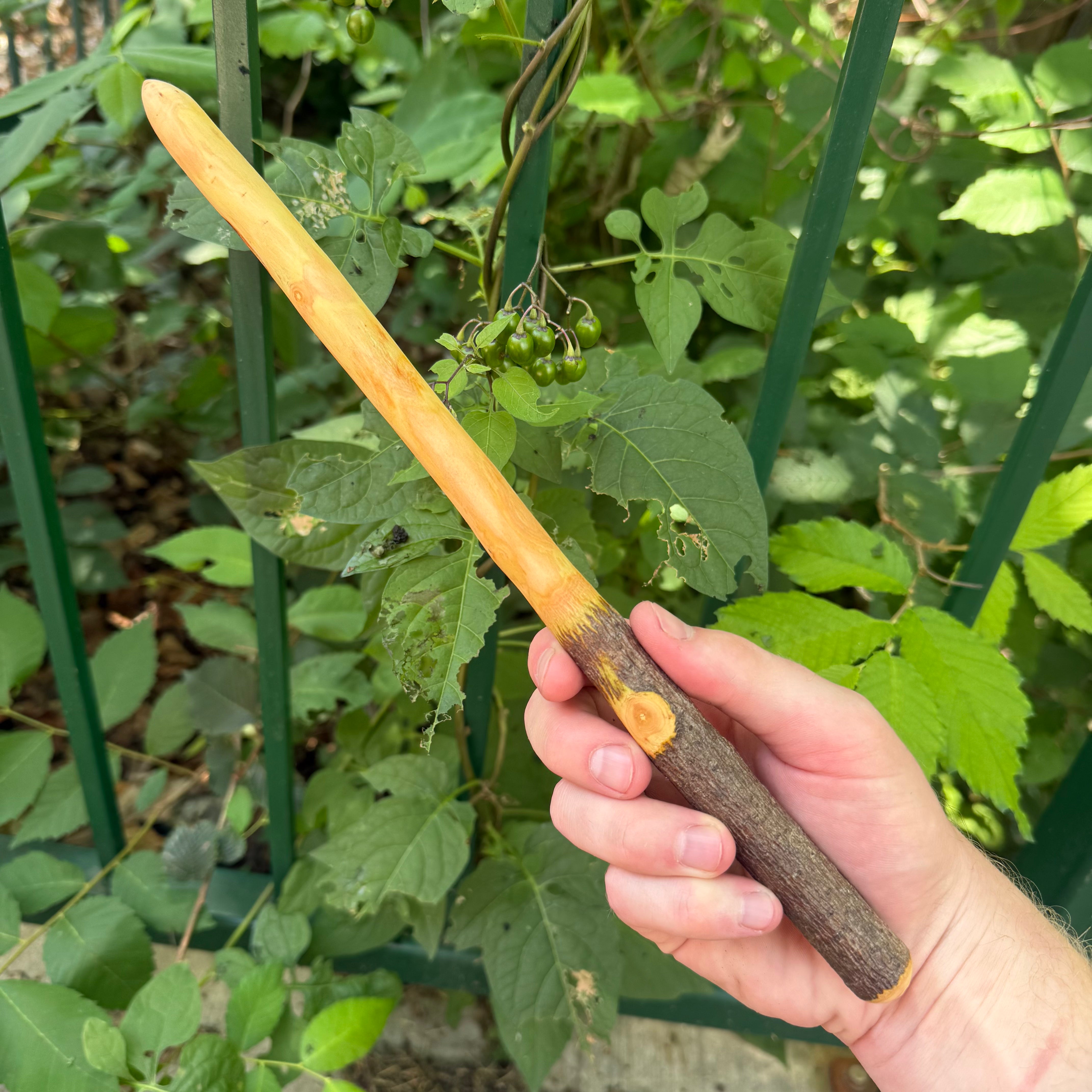 Mystic Apple Wood Wand