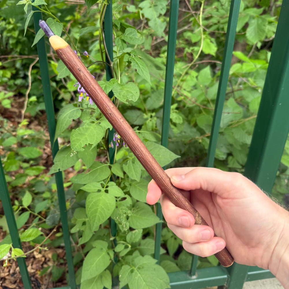 Elder Wand 12 Inch With Amethyst Point