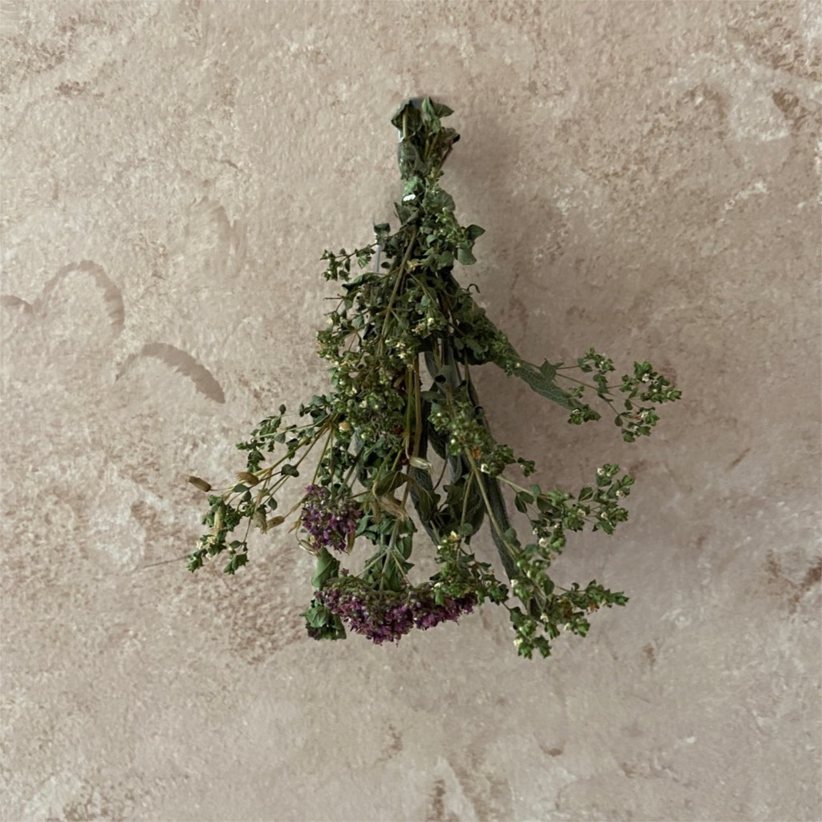 Garden Witches Herb Bundle - 13 Moons