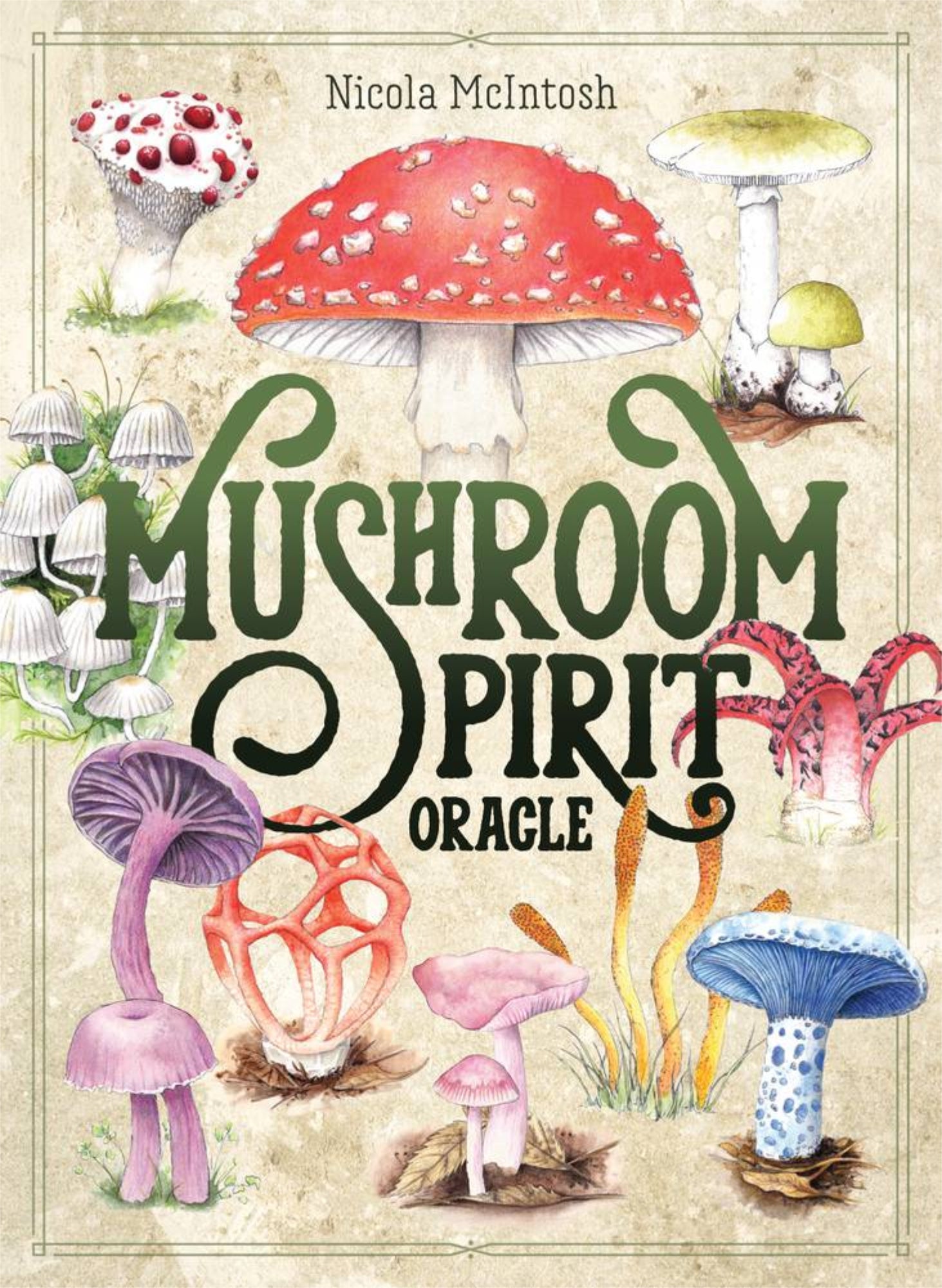 Mushroom Spirit Oracle - 13 Moons
