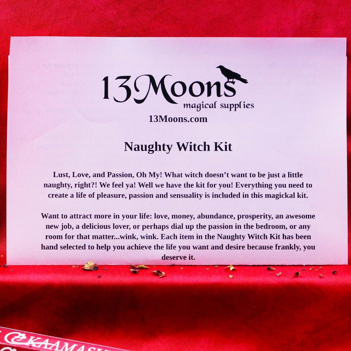 Naughty Witch Kit - 13 Moons
