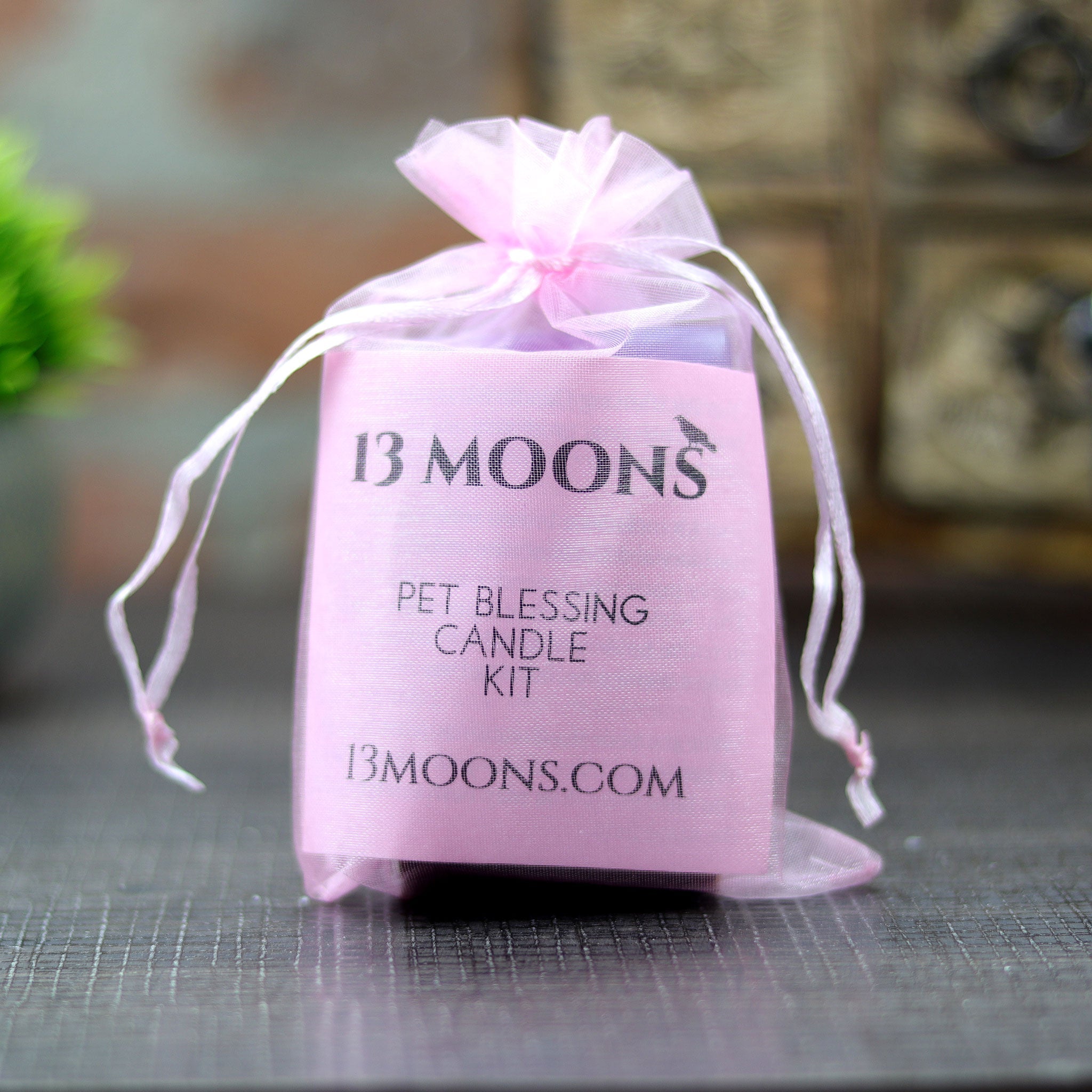 Pet Blessing Candle Kit - 13 Moons