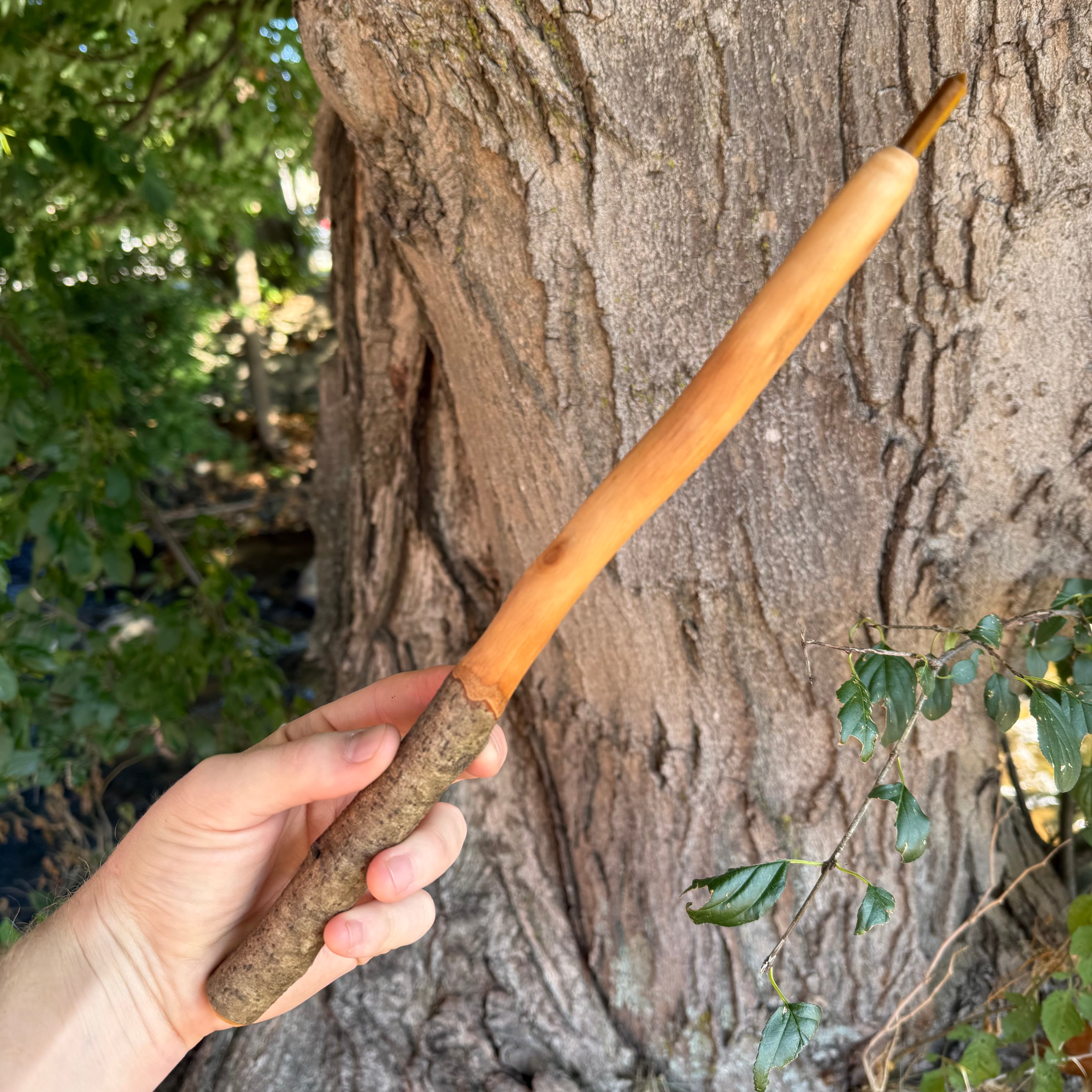 Birch Wand with Tiger's Eye Crystal Point