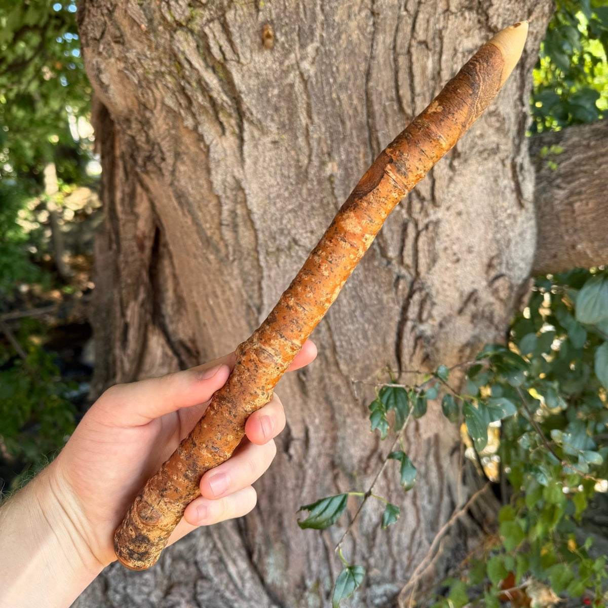 Aspen Wood Wand