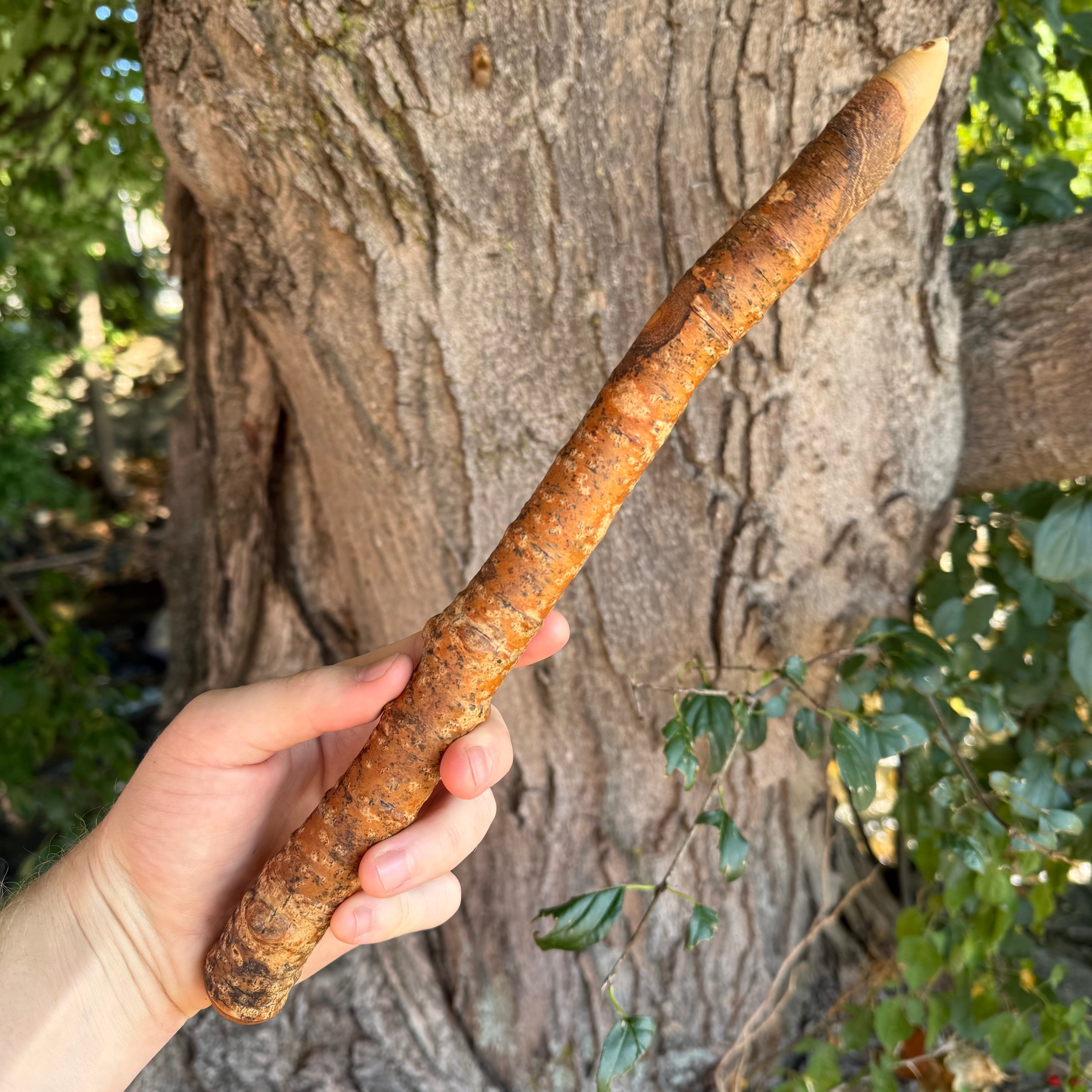 Aspen Wood Wand