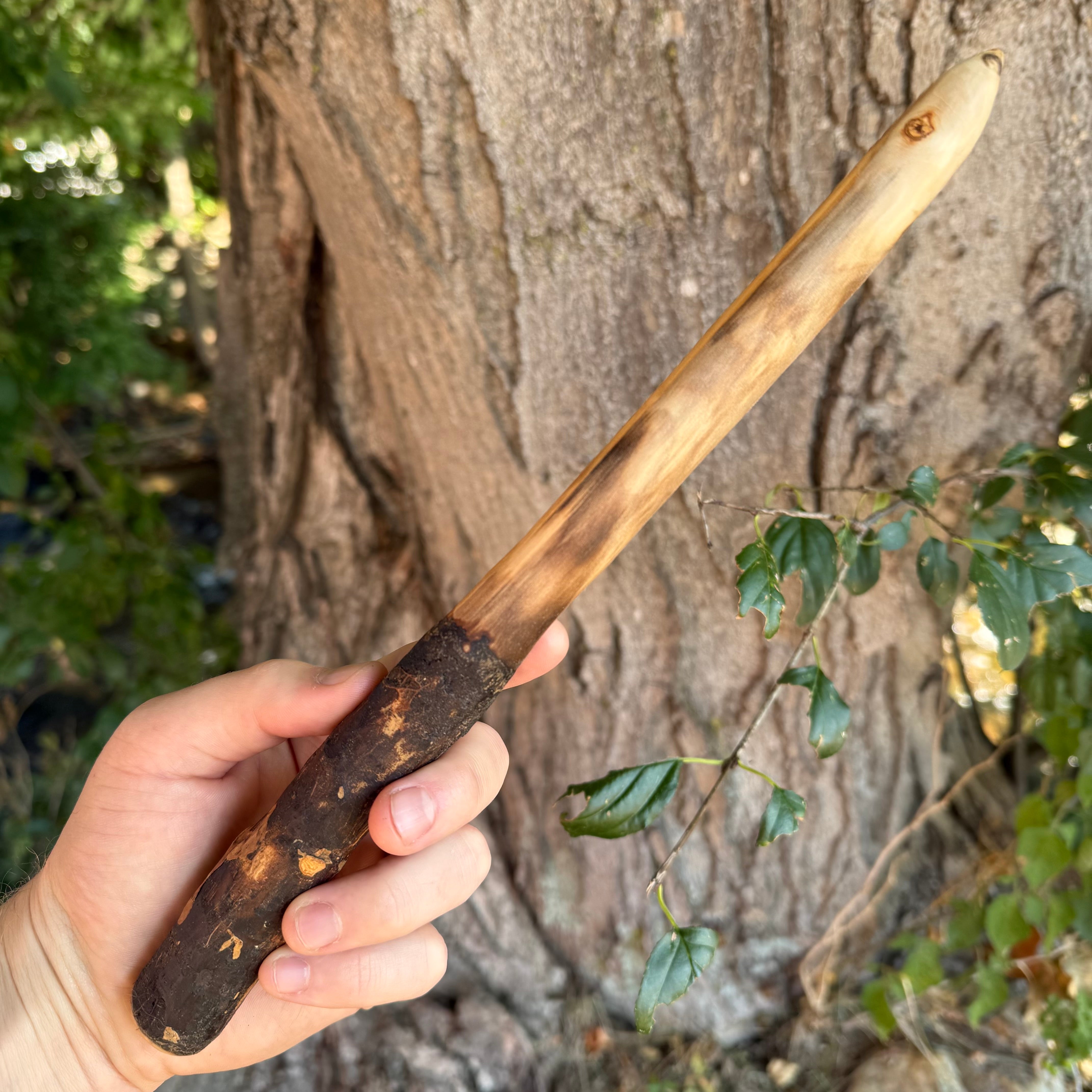 Poplar Wand