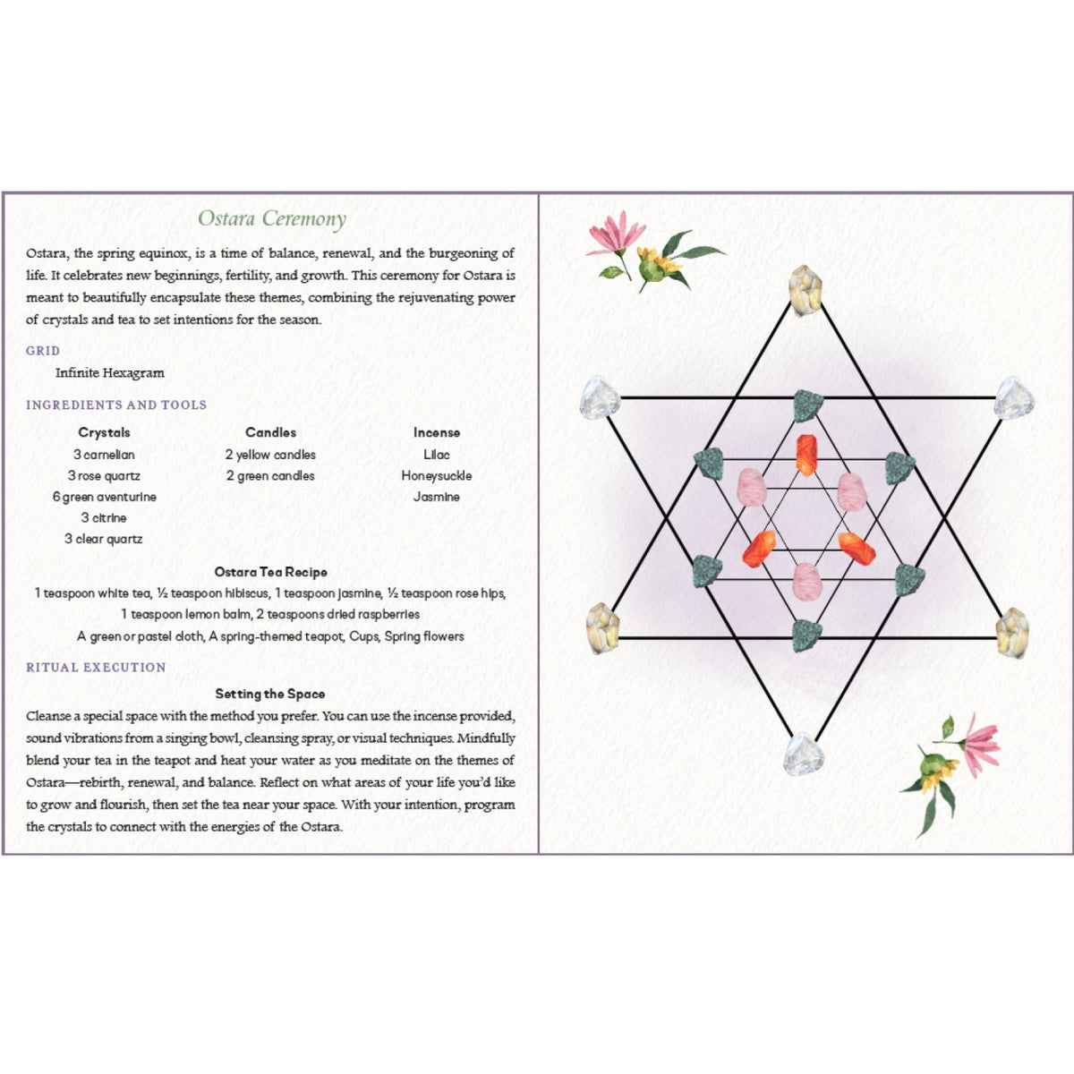 Tea Witch’s Crystal Brews