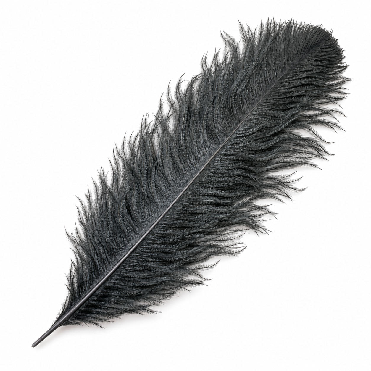 Black Ostrich Feather