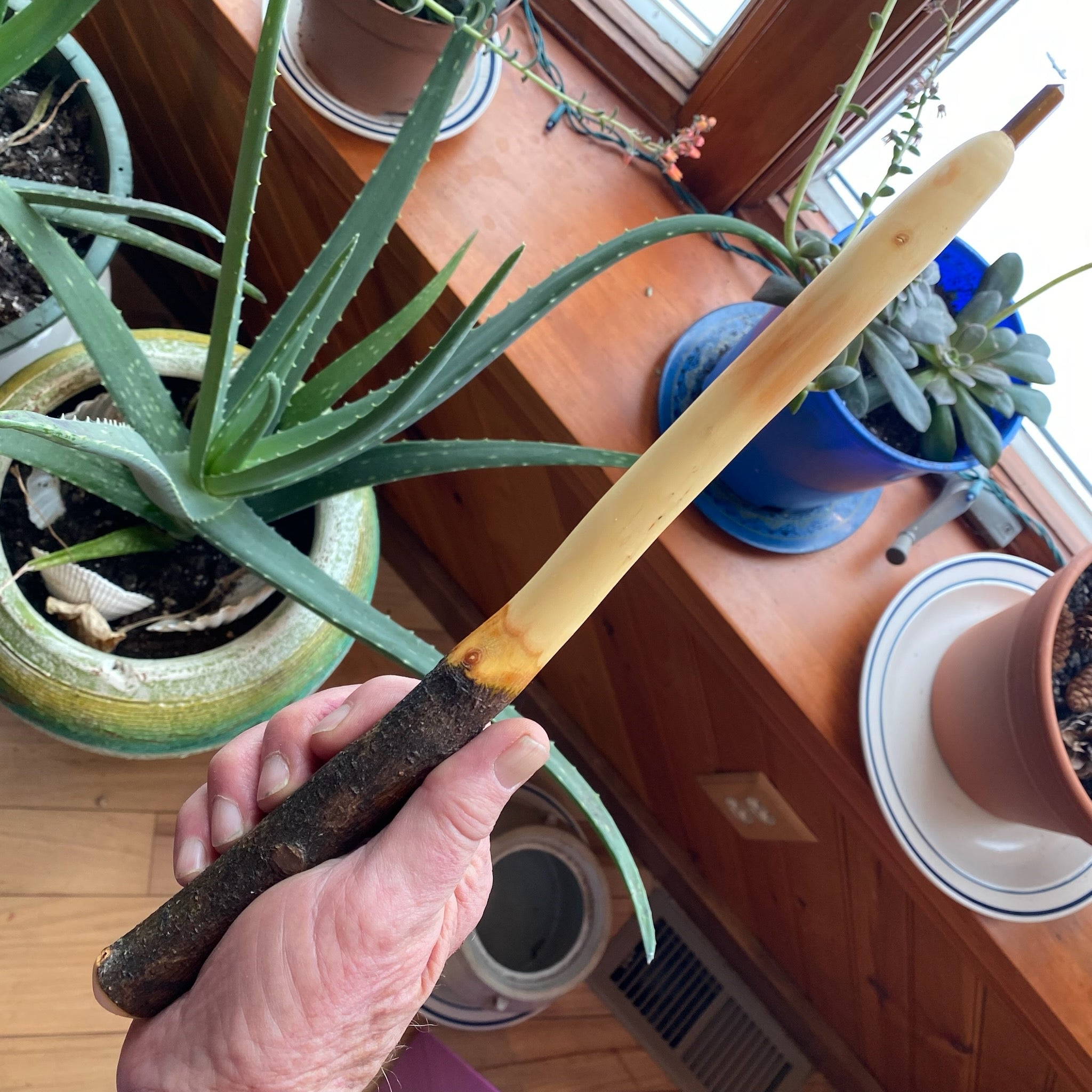 Apple Wand