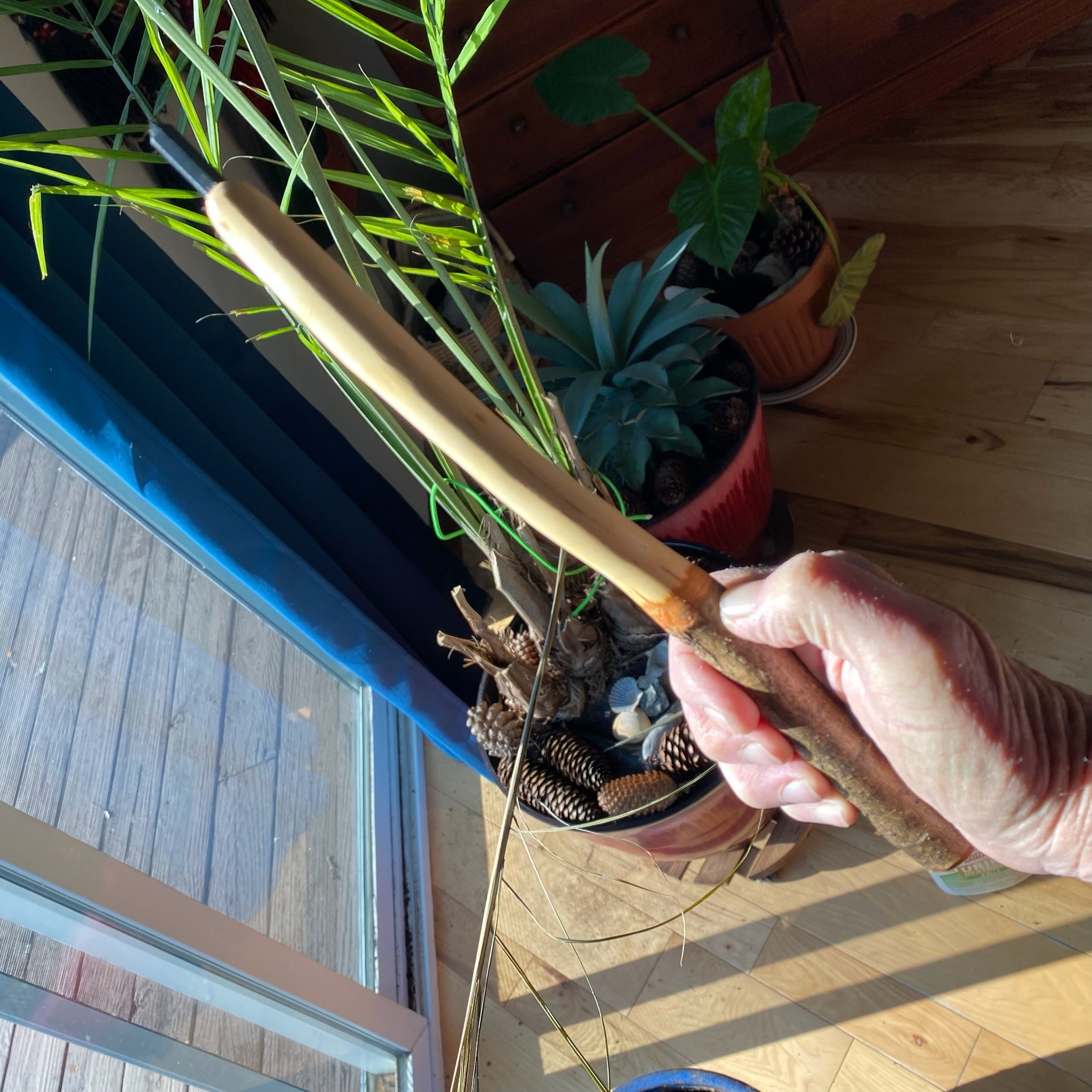 Ash Wand