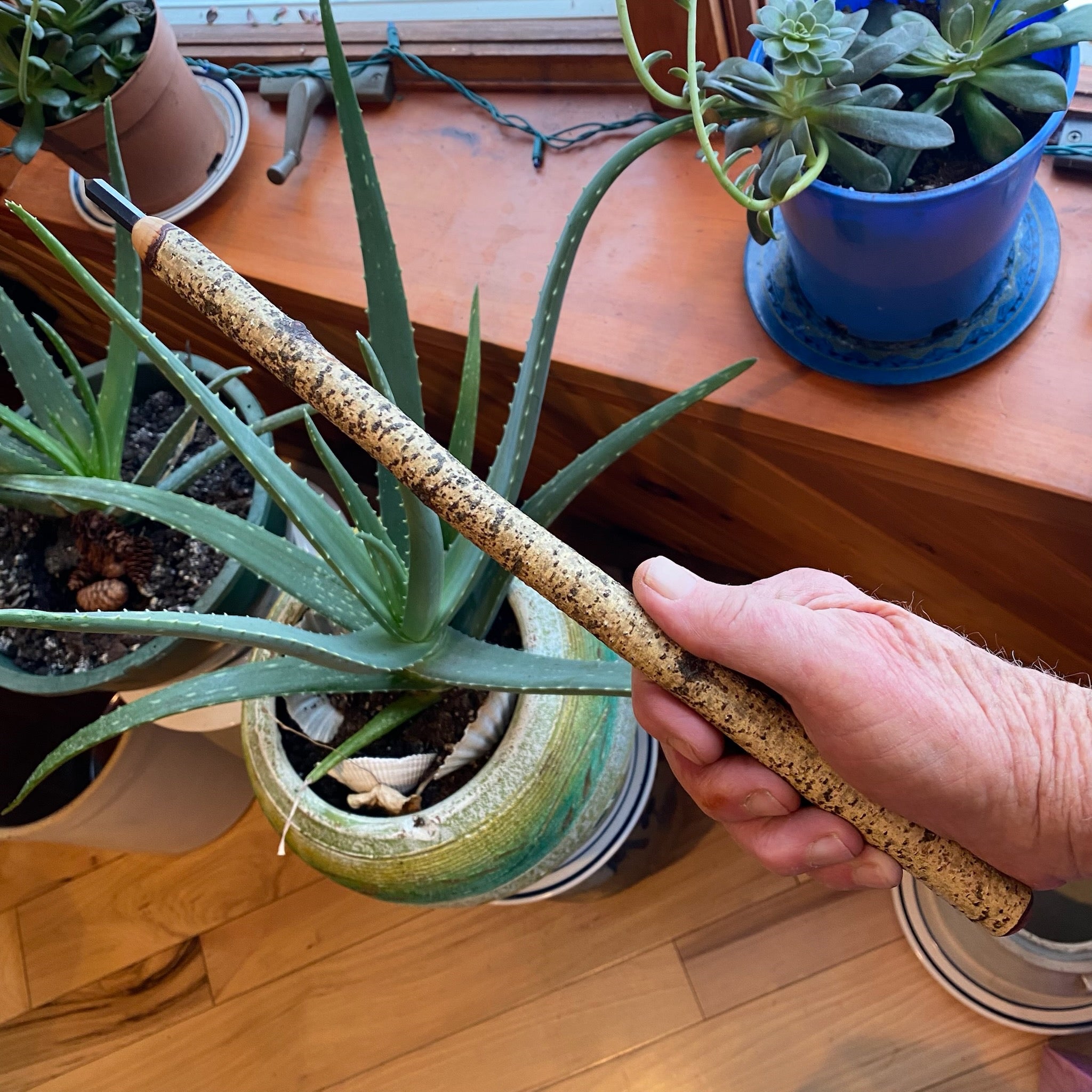 White Birch Wand