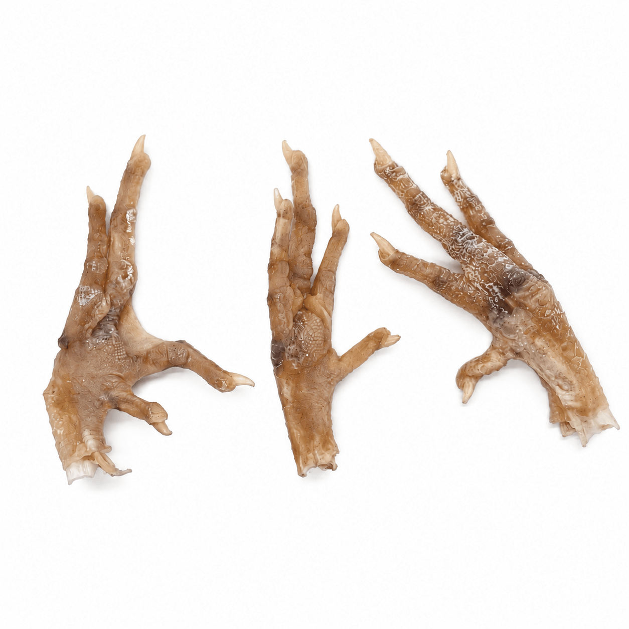 Genuine Chicken Foot Charm