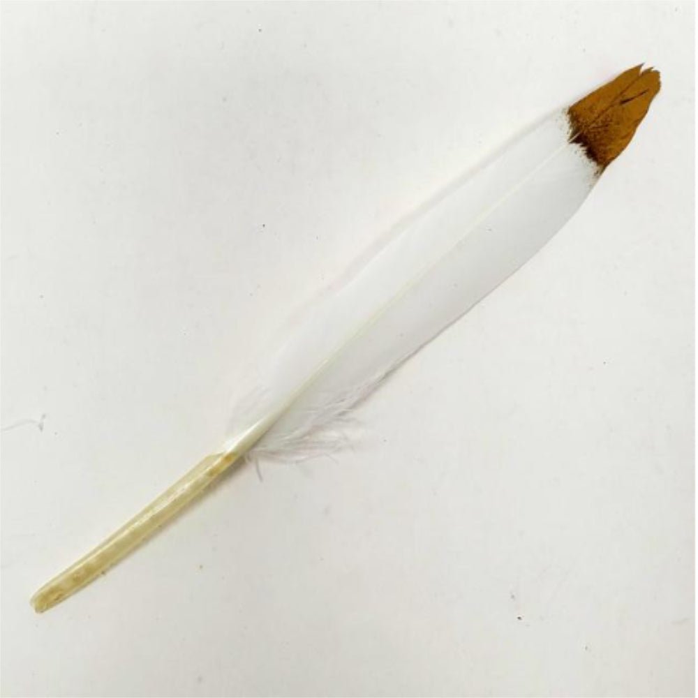 White Feather with Gold Tip - 13 Moons