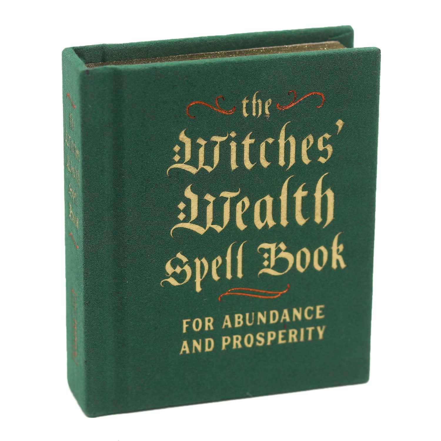 Witches' Wealth Spell Book: For Abundance and Prosperity