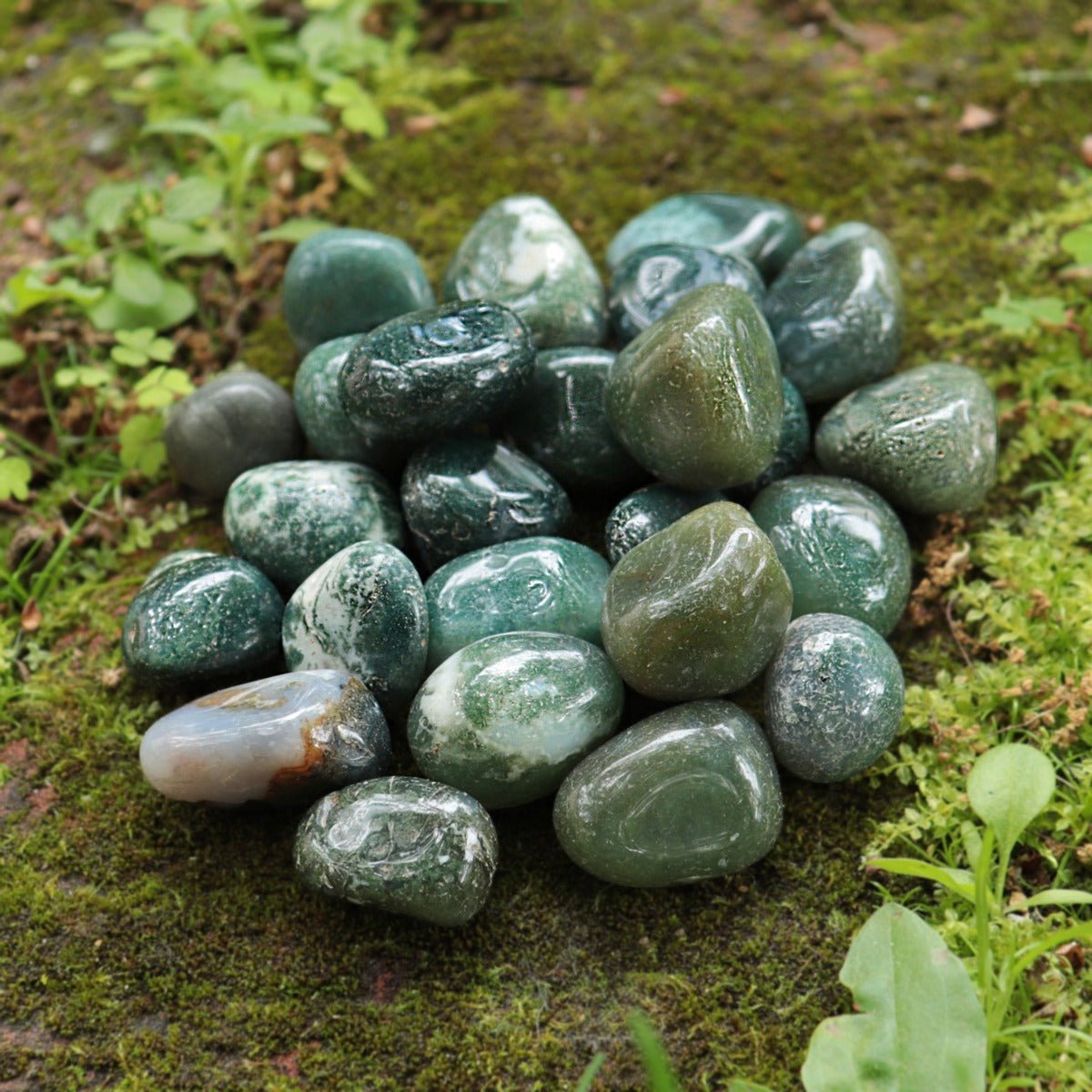 Agate Green Moss Tumbled Stone - 13 Moons