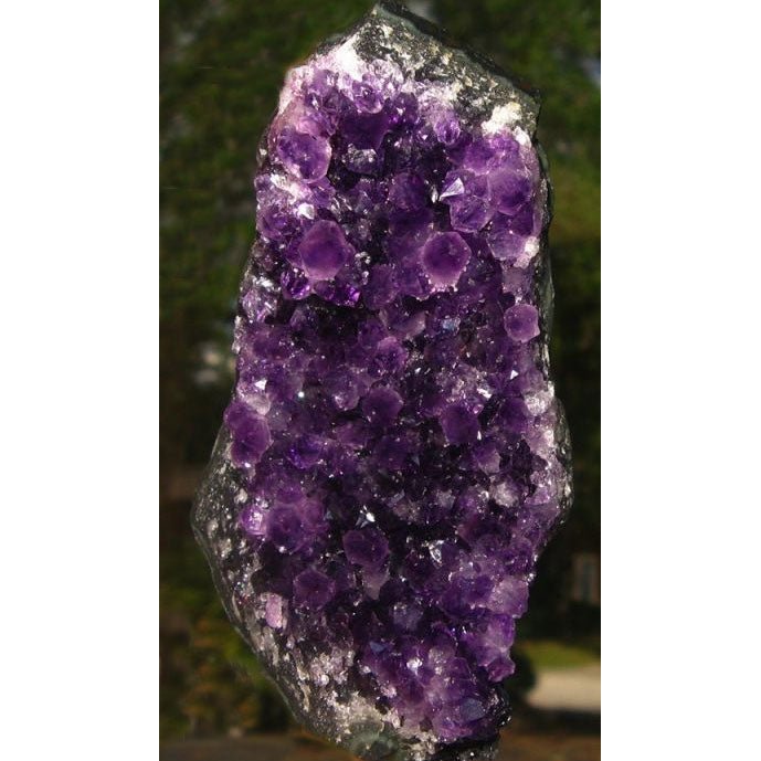 Amethyst Cluster, Large - 13 Moons