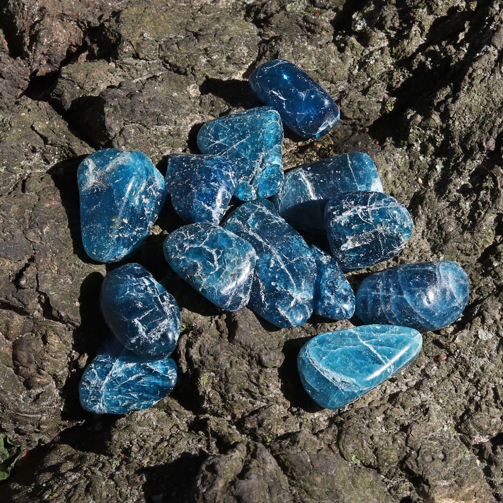 Apatite Tumbled Stone - 13 Moons