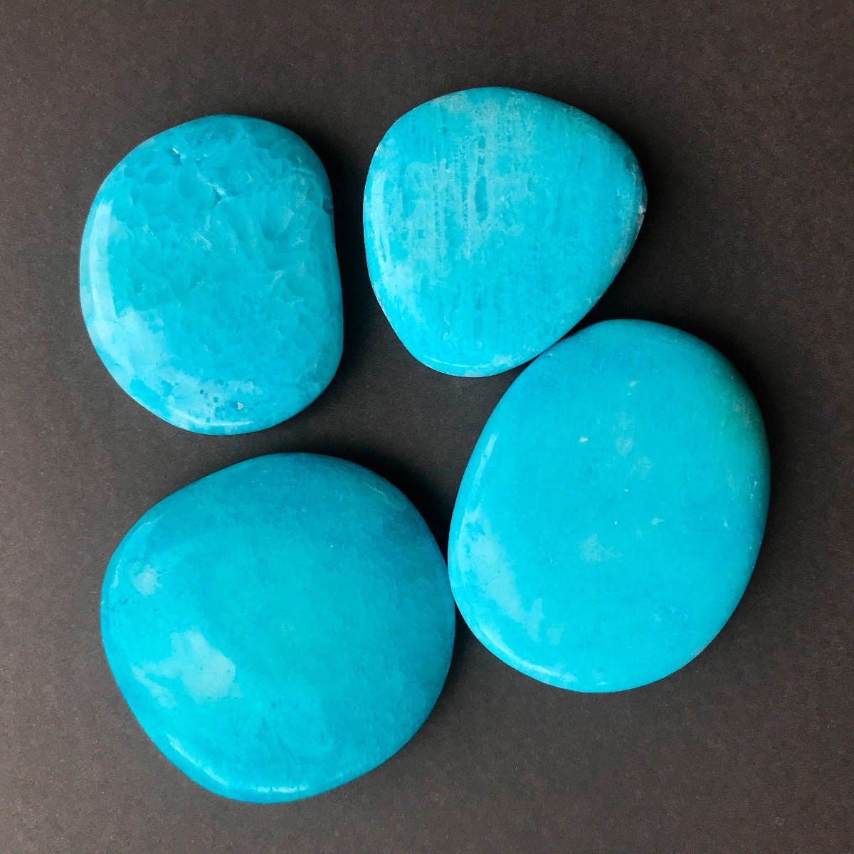 Aragonite Palm Stone - 13 Moons