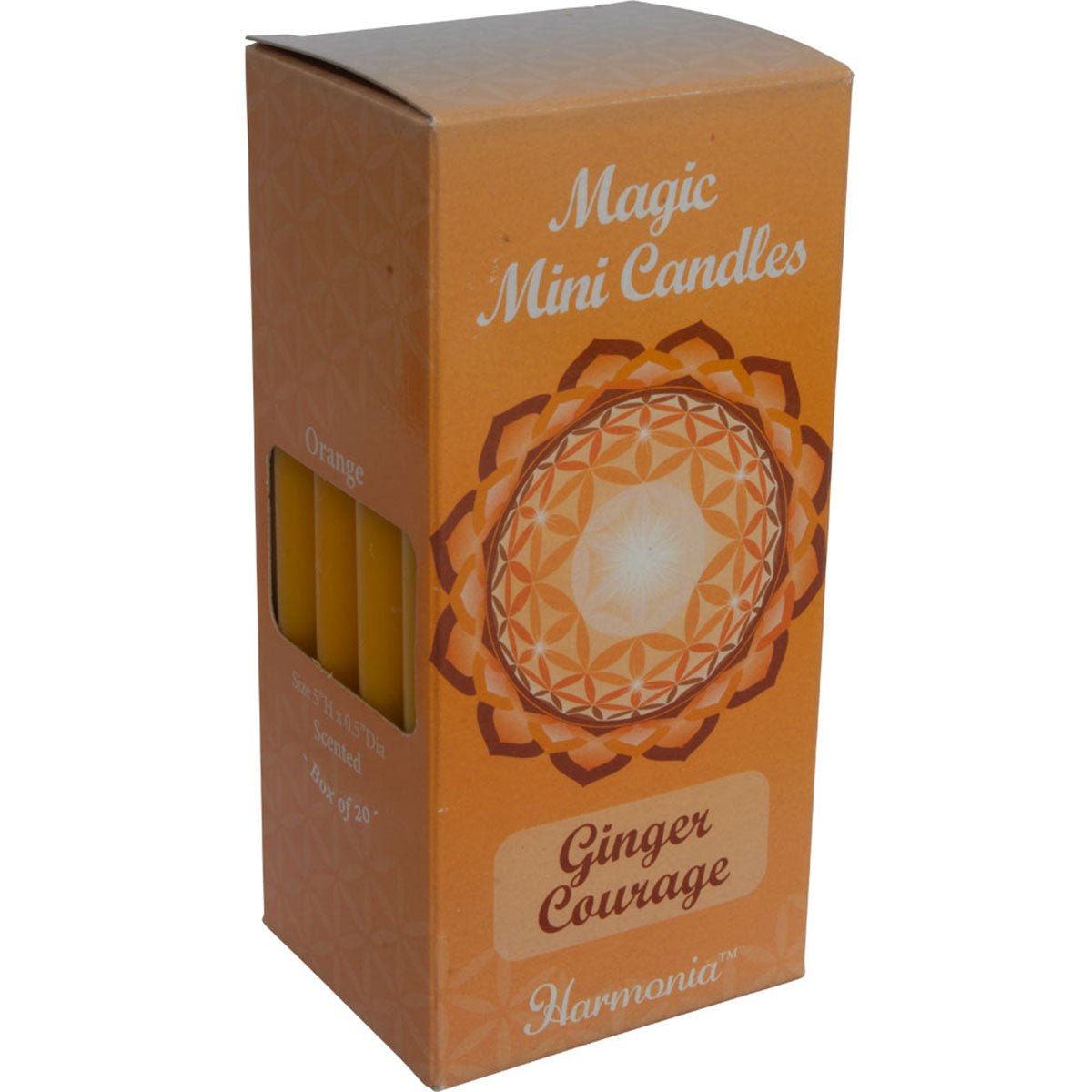 Courage Ginger Candle - 13 Moons