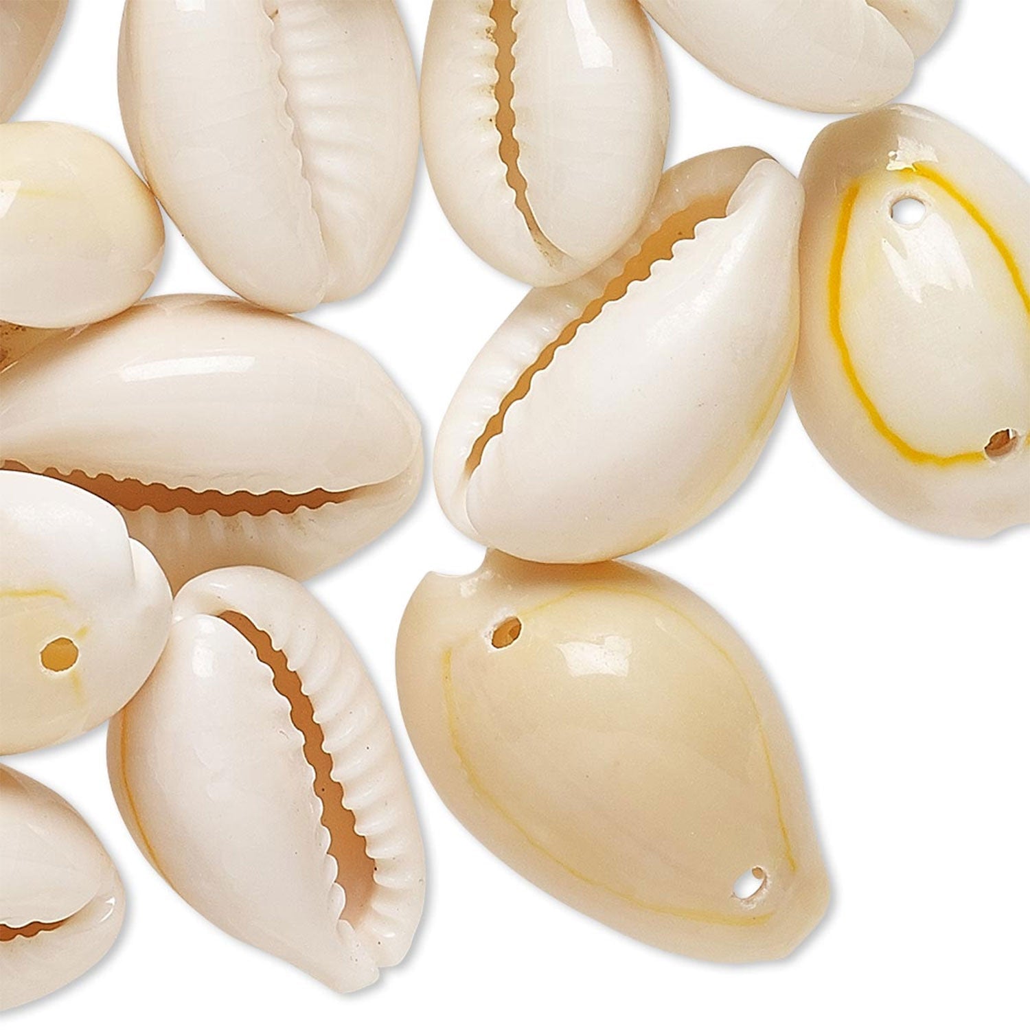 Cowrie Shell Bead, 10 of - 13 Moons