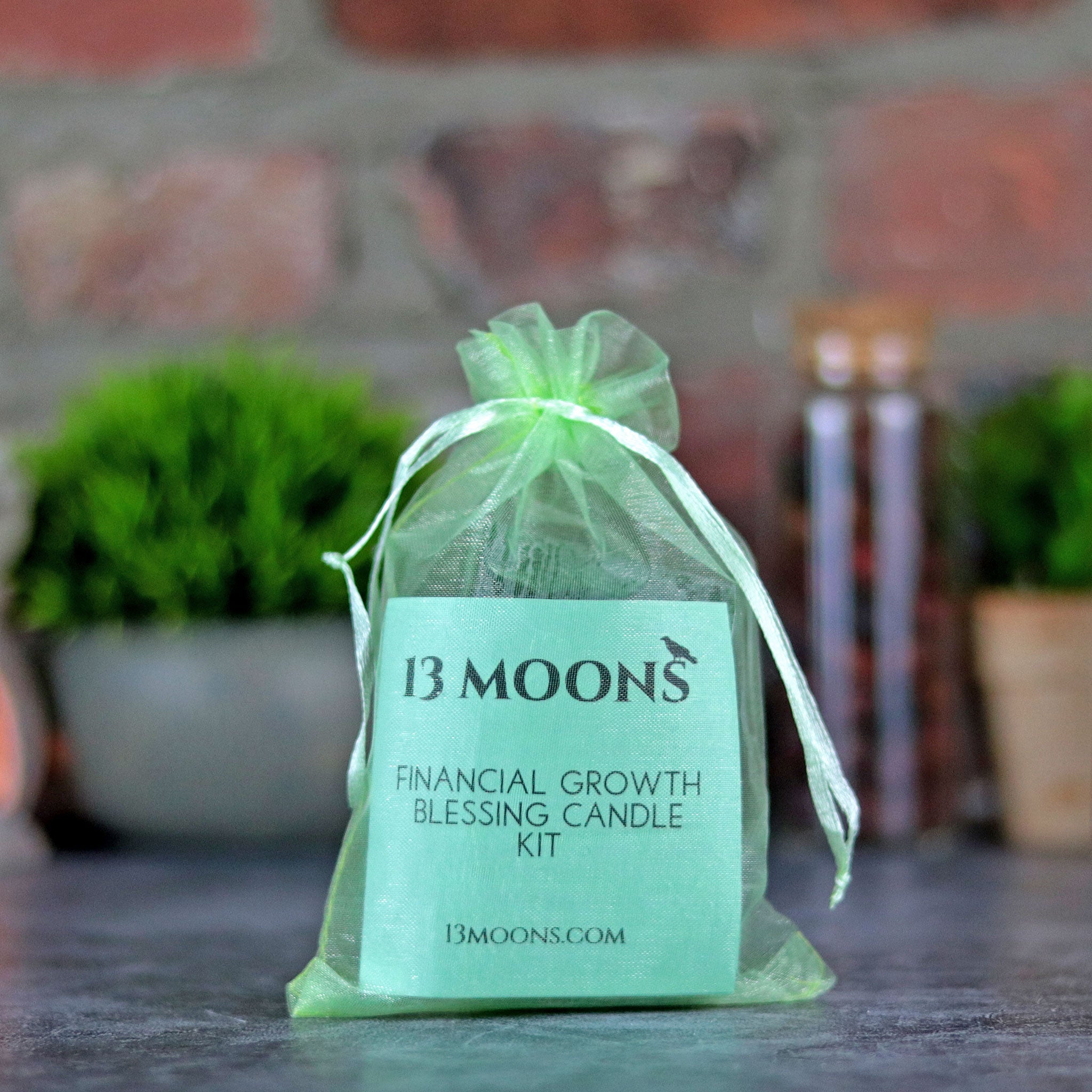 Financial Growth Blessing Candle Kit - 13 Moons