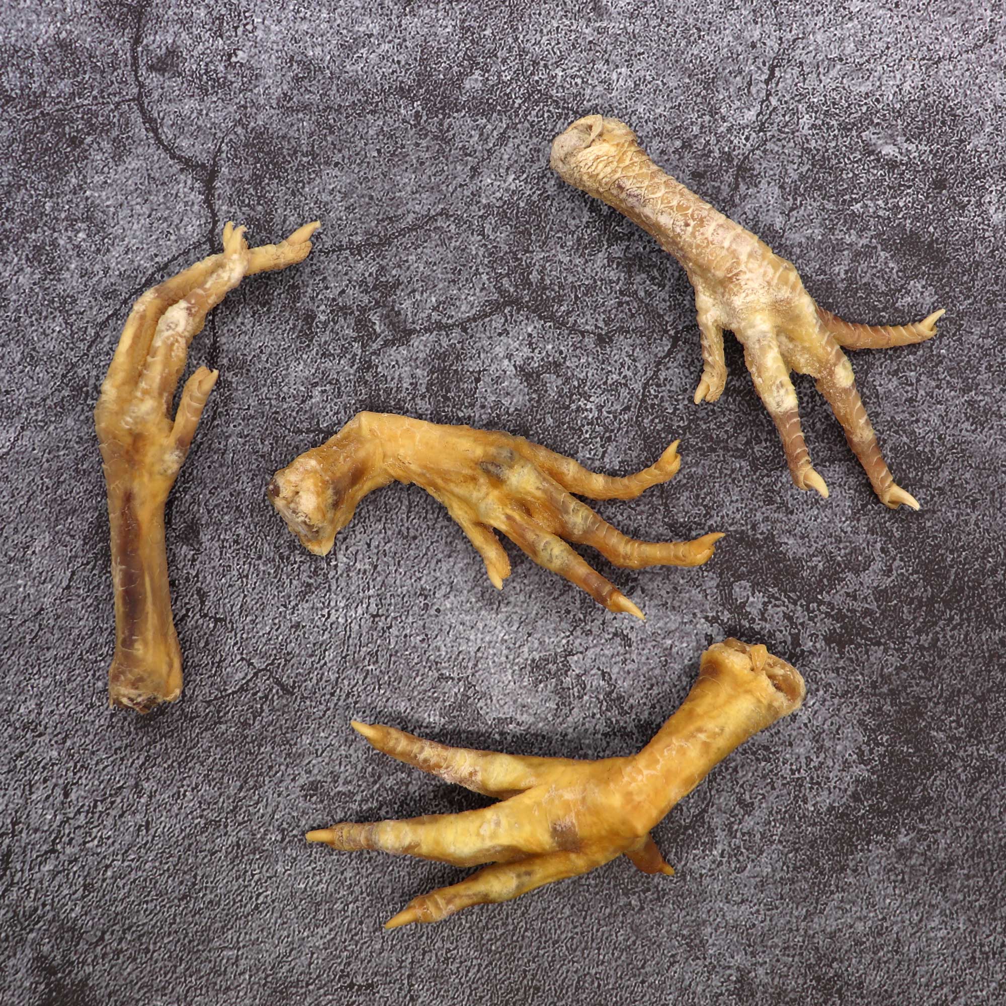 Genuine Chicken Foot Charm - 13 Moons