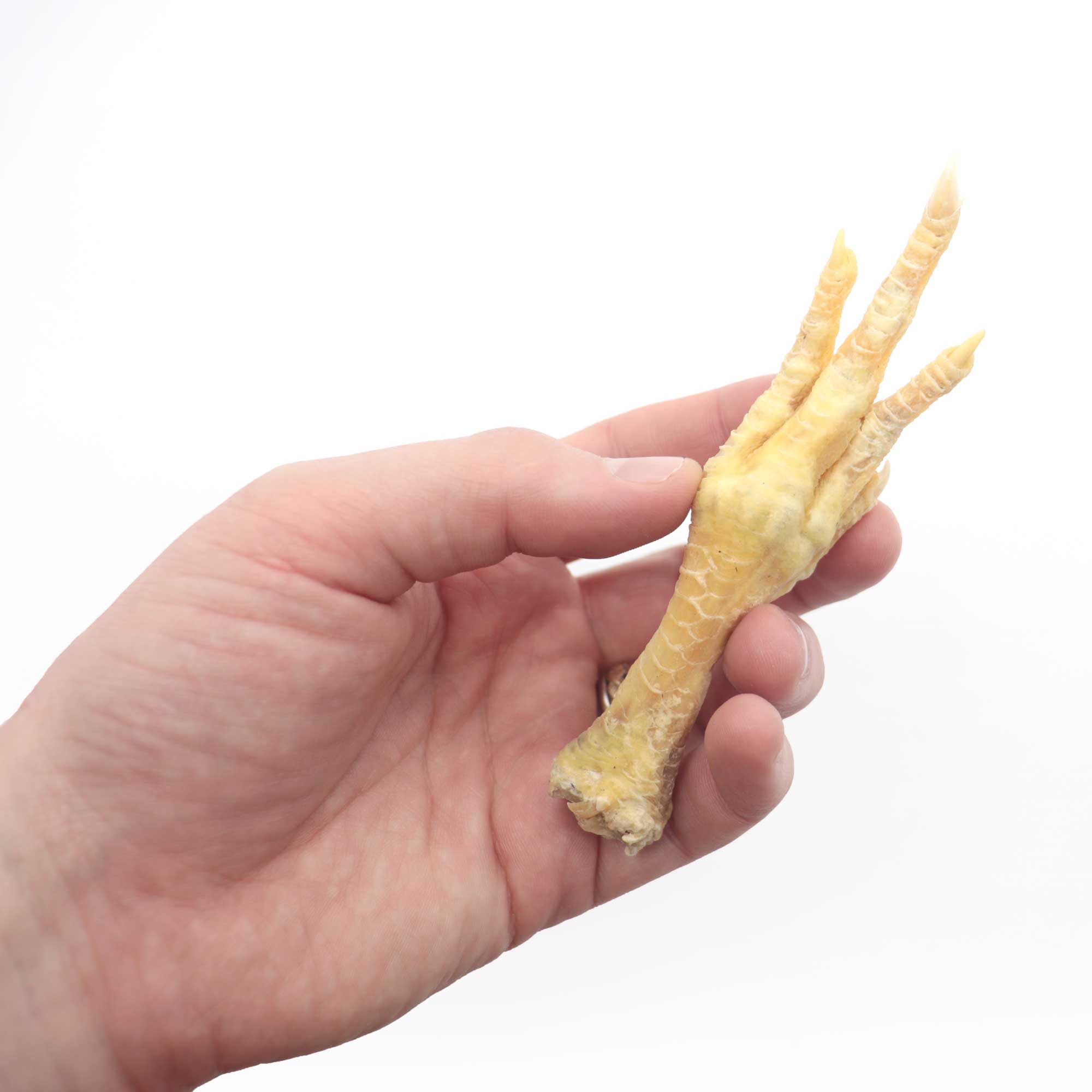Genuine Chicken Foot Charm - 13 Moons