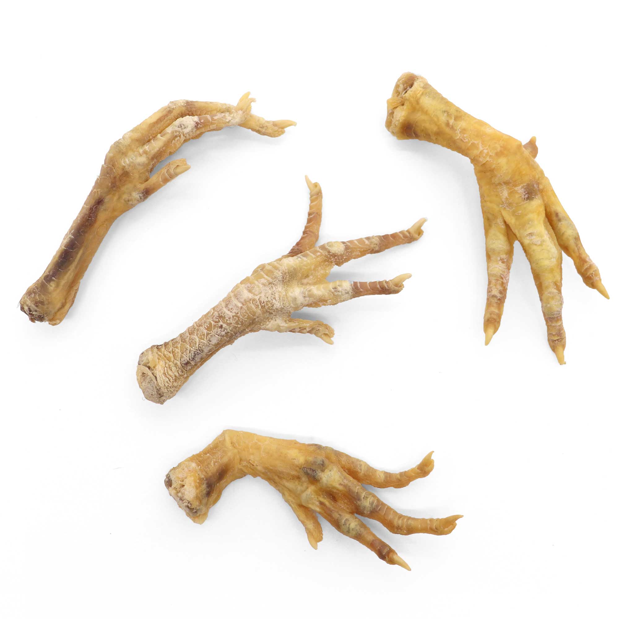 Genuine Chicken Foot Charm - 13 Moons