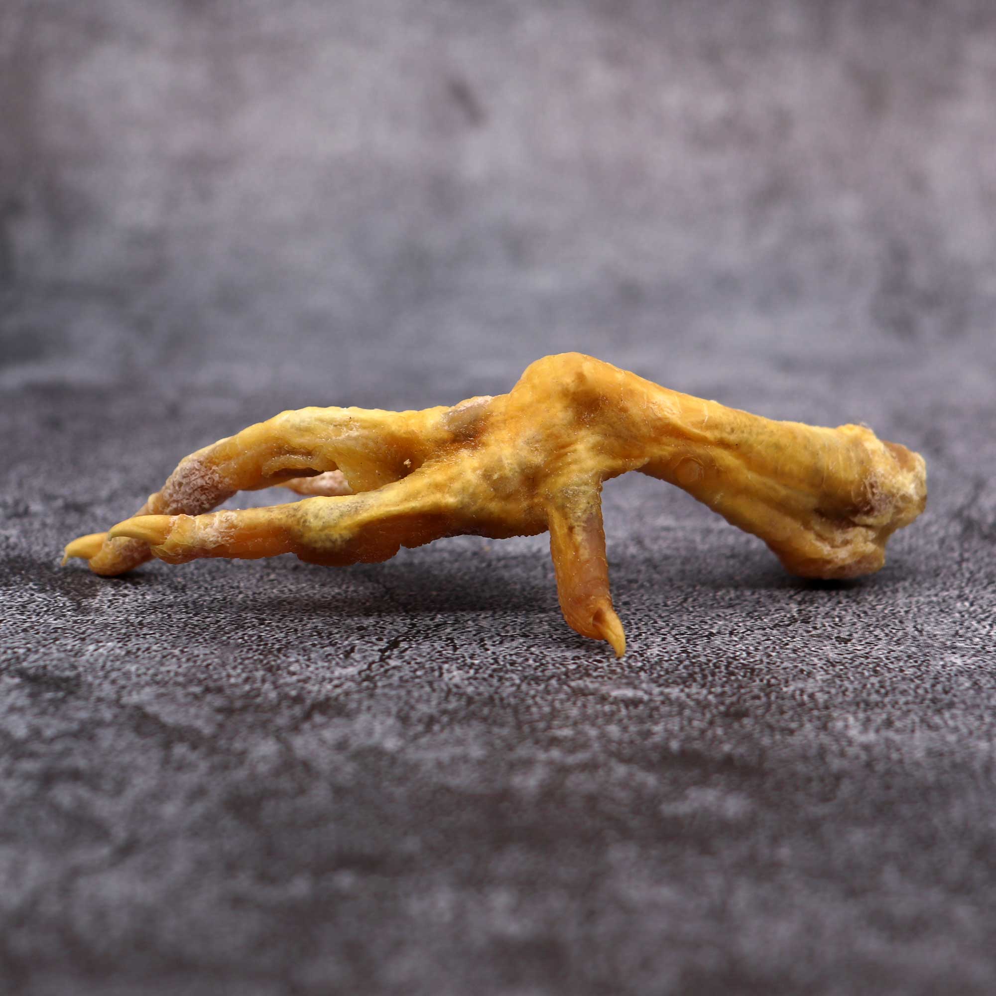 Genuine Chicken Foot Charm - 13 Moons