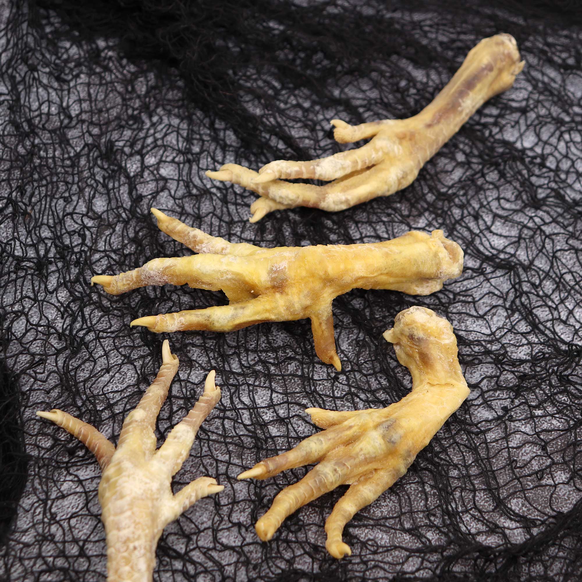 Genuine Chicken Foot Charm - 13 Moons