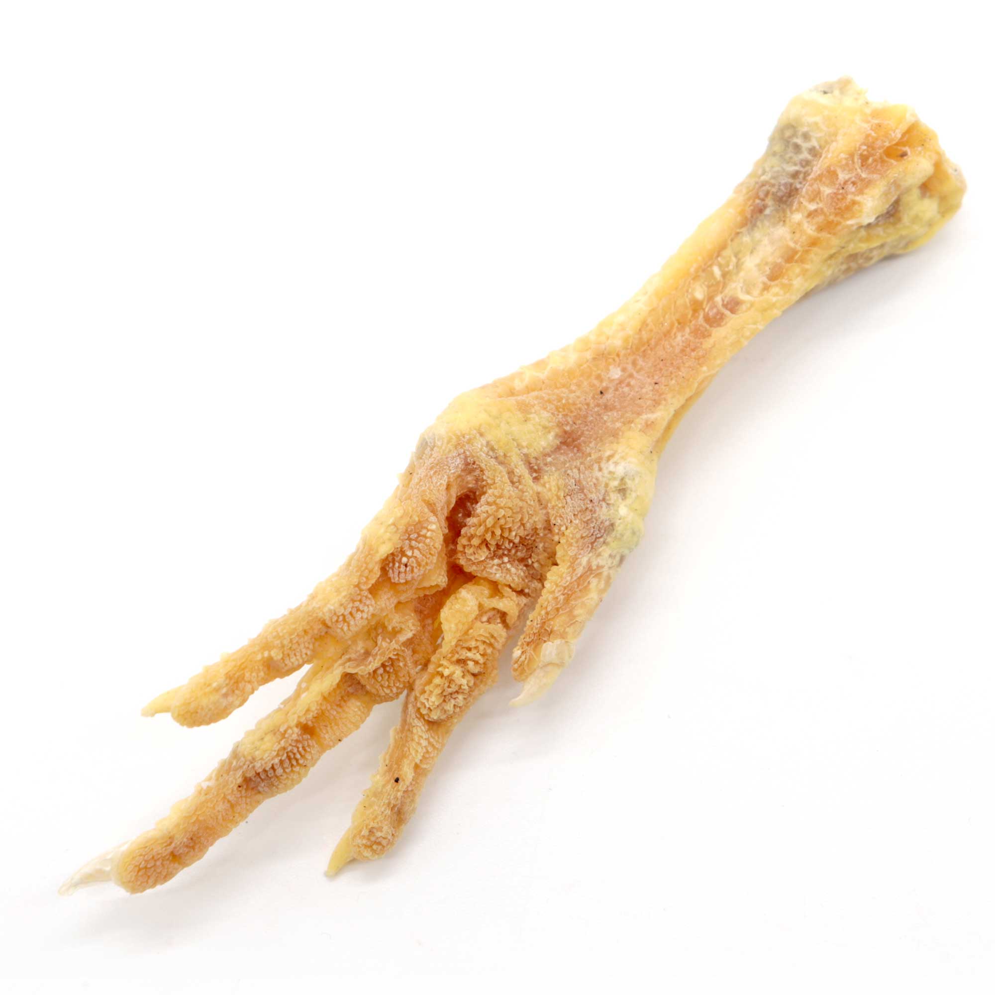 Genuine Chicken Foot Charm - 13 Moons