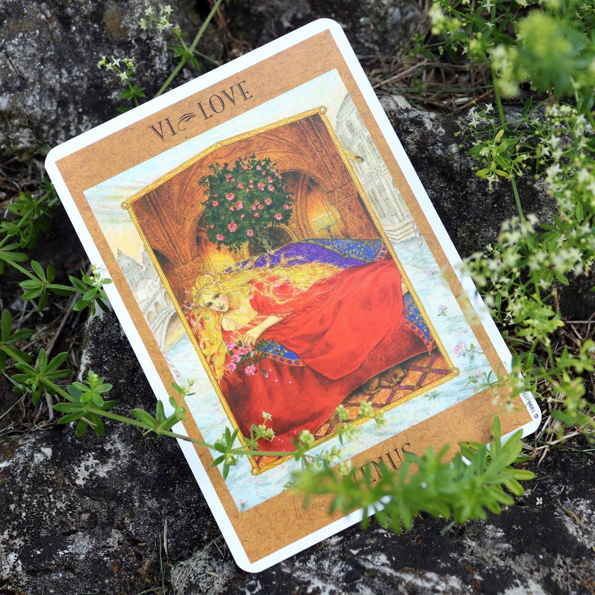 Goddess Tarot Deck - 13 Moons