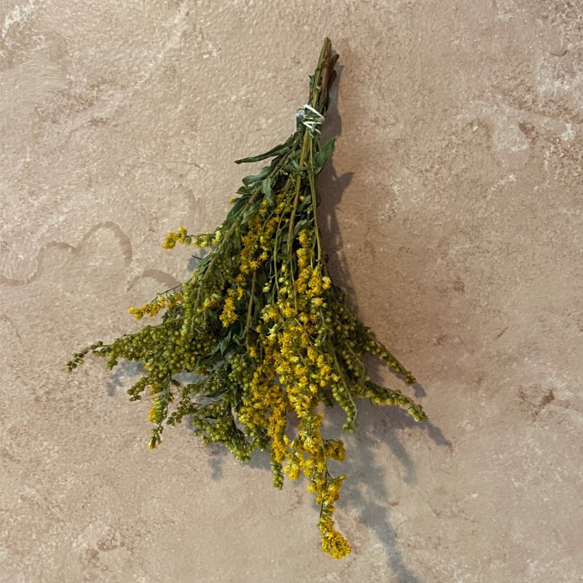 Goldenrod Bundle - 13 Moons