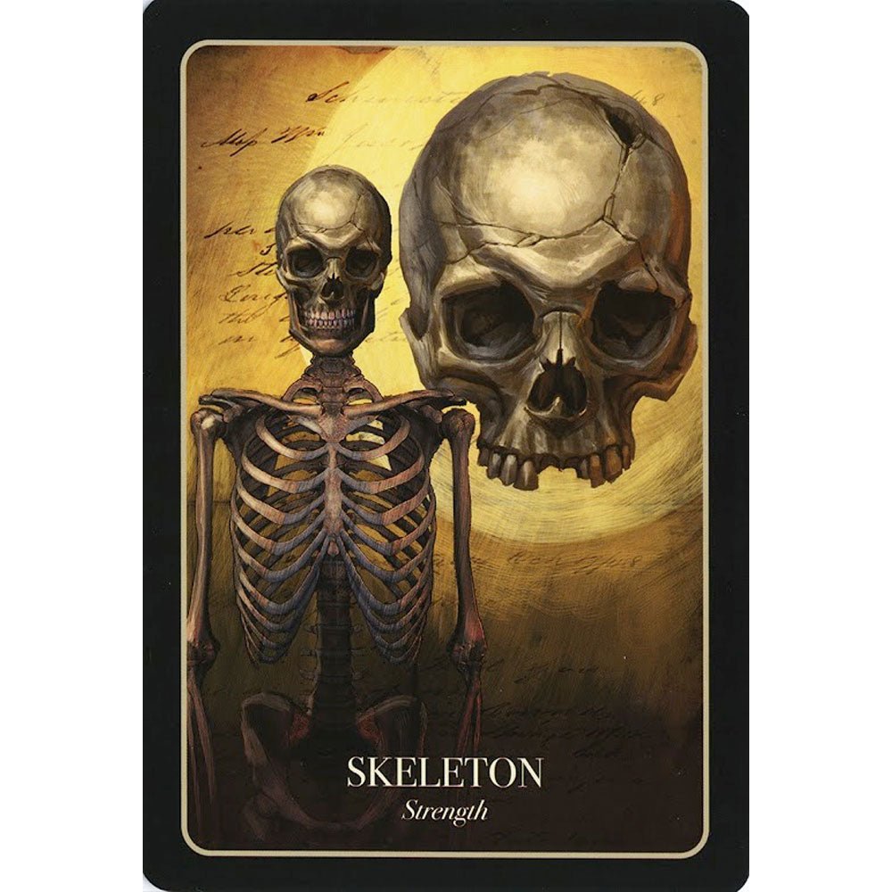 Halloween Oracle Cards - 13 Moons