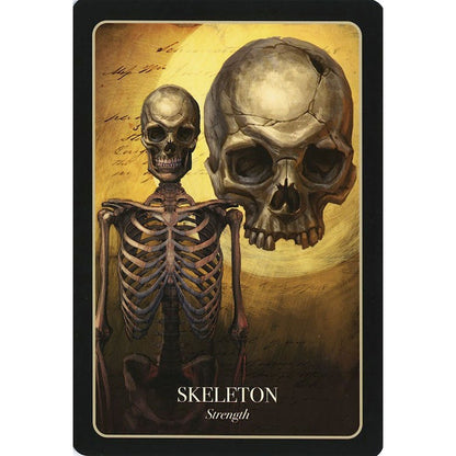 Halloween Oracle Cards - 13 Moons