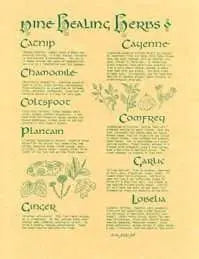Healing Herbs Poster - 13 Moons