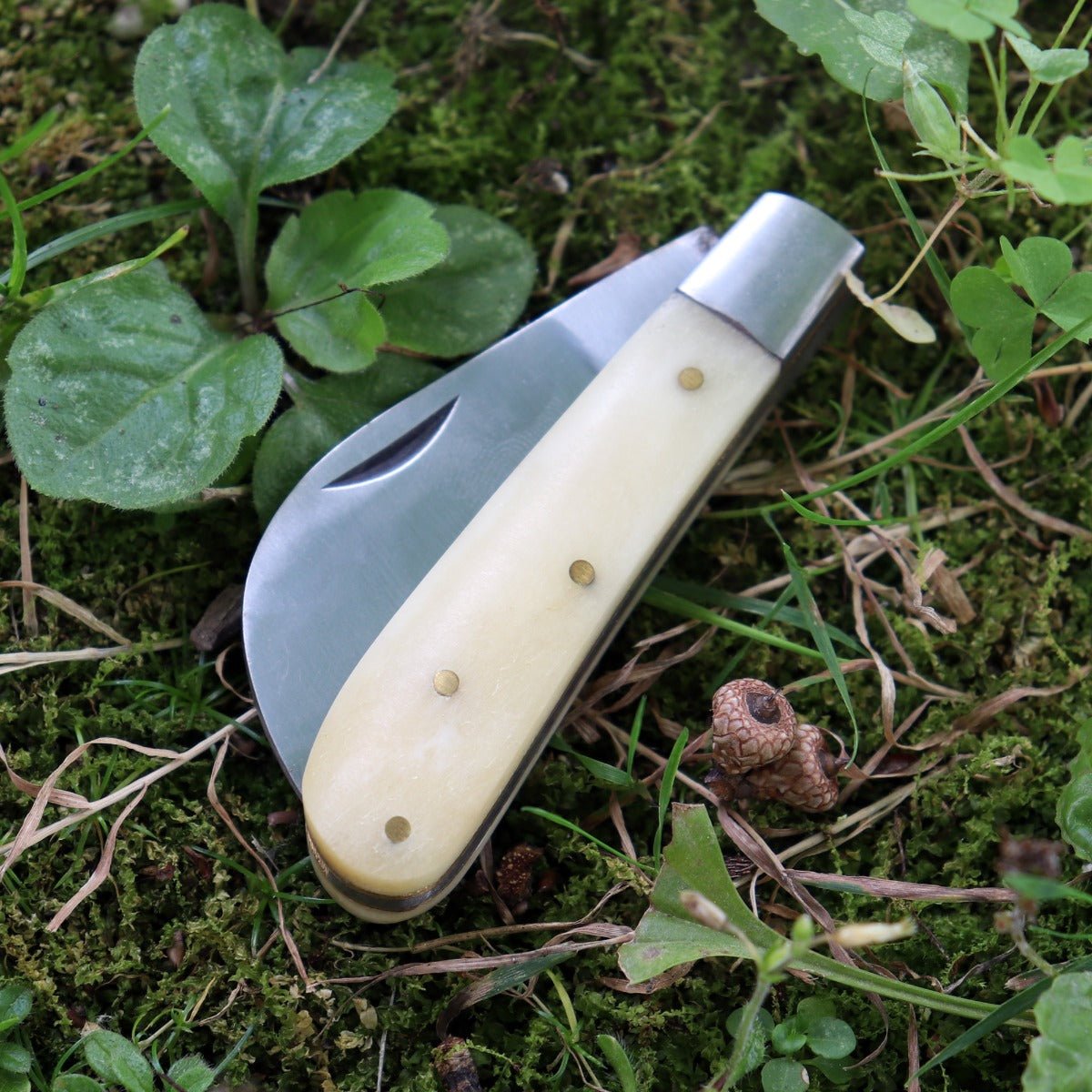 Herb Pruning Pocket Boline - 13 Moons