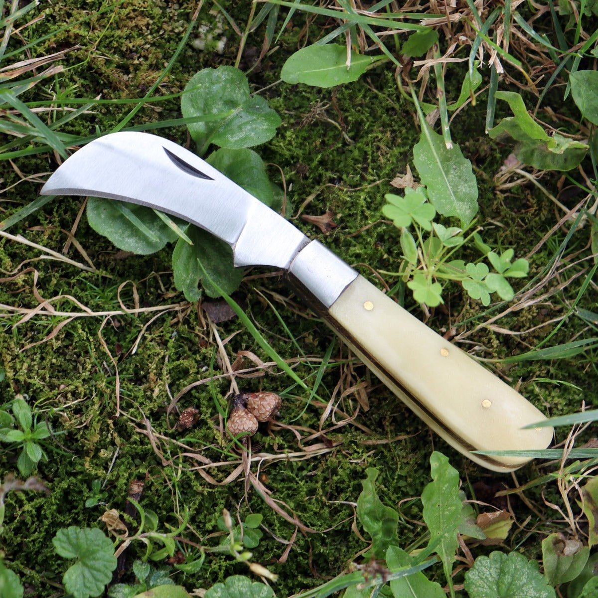 Herb Pruning Pocket Boline - 13 Moons