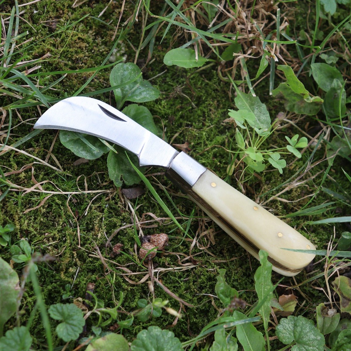 Herb Pruning Pocket Boline - 13 Moons
