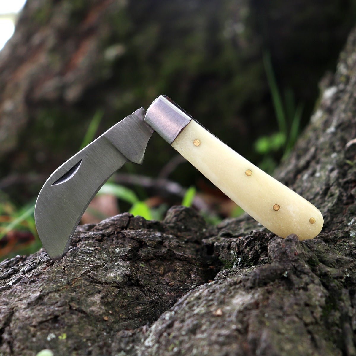 Herb Pruning Pocket Boline - 13 Moons