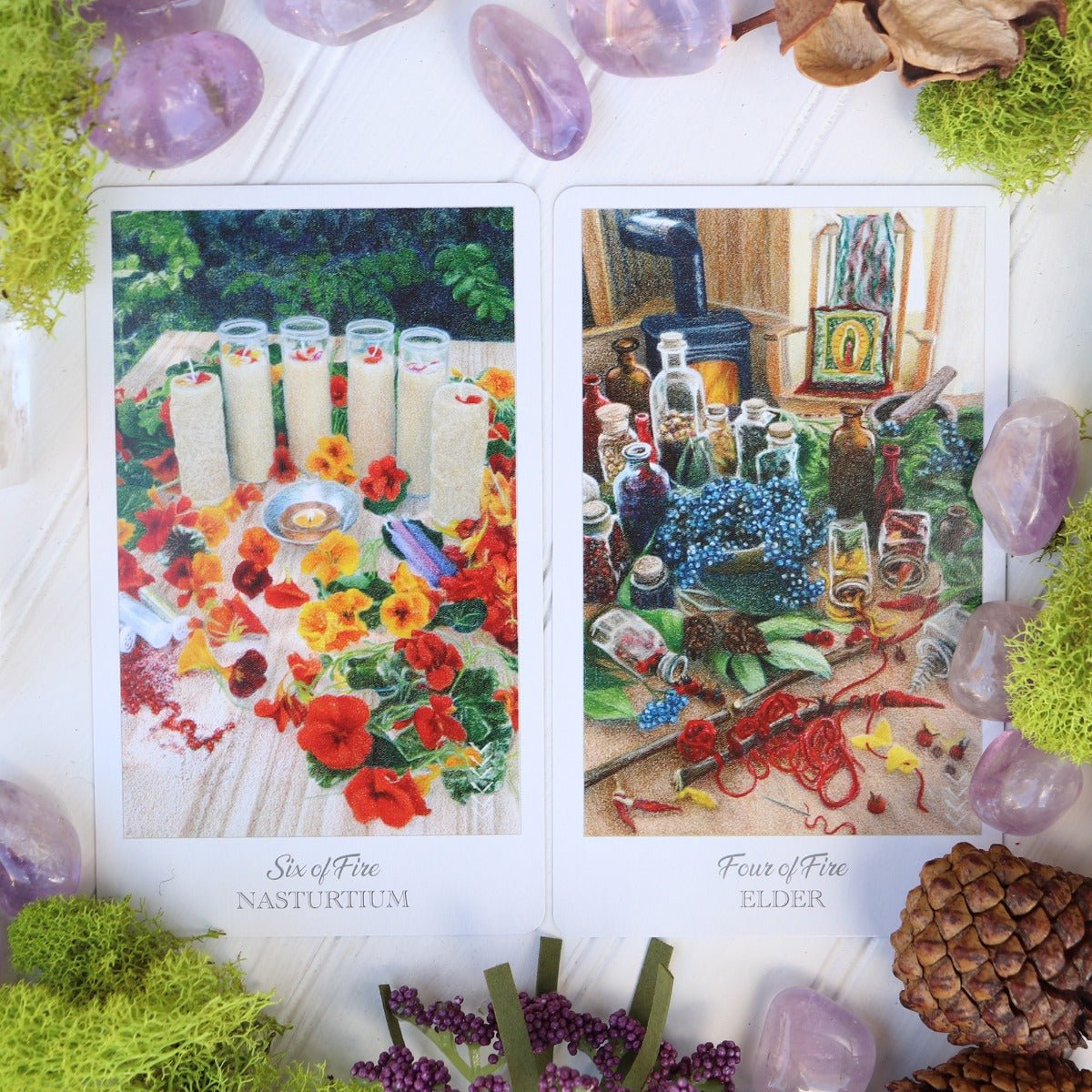 Herbcrafters Tarot Deck and Book - 13 Moons