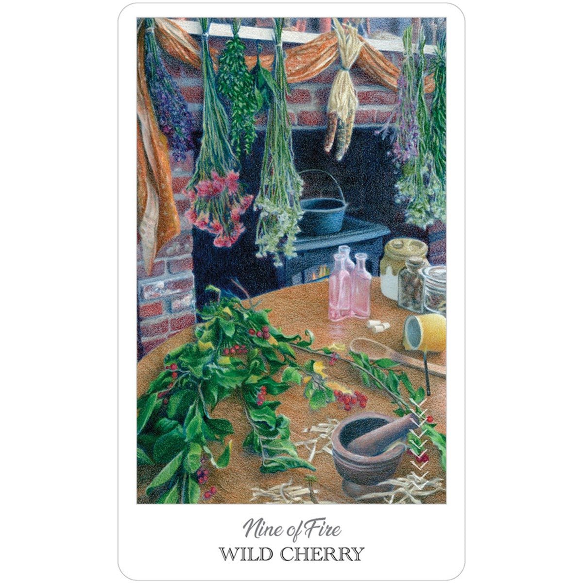 Herbcrafters Tarot Deck and Book - 13 Moons