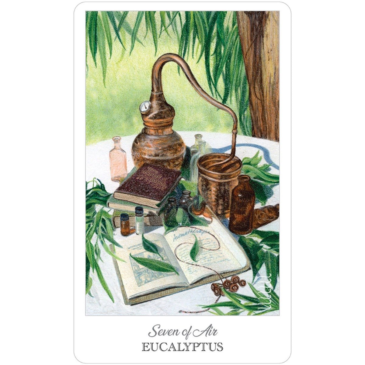 Herbcrafters Tarot Deck and Book - 13 Moons