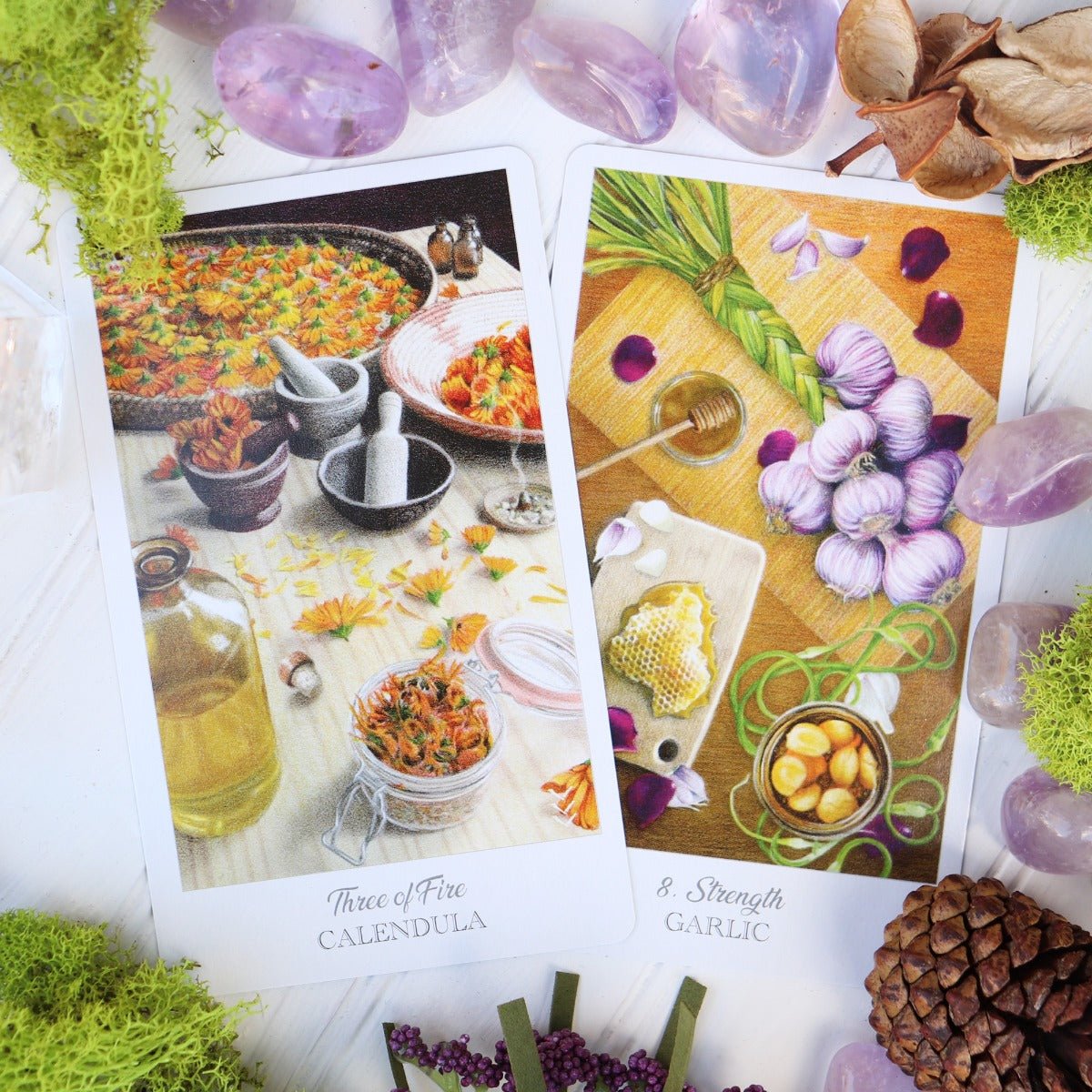 Herbcrafters Tarot Deck and Book - 13 Moons