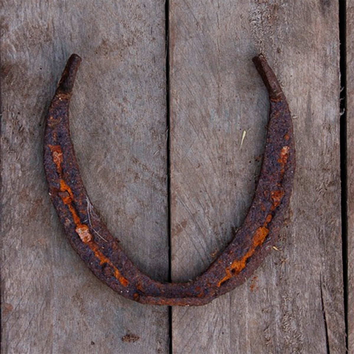 ANTIQUE HORSE Shoes,horse Shoes,vintage Horse Shoe,rusty Horse