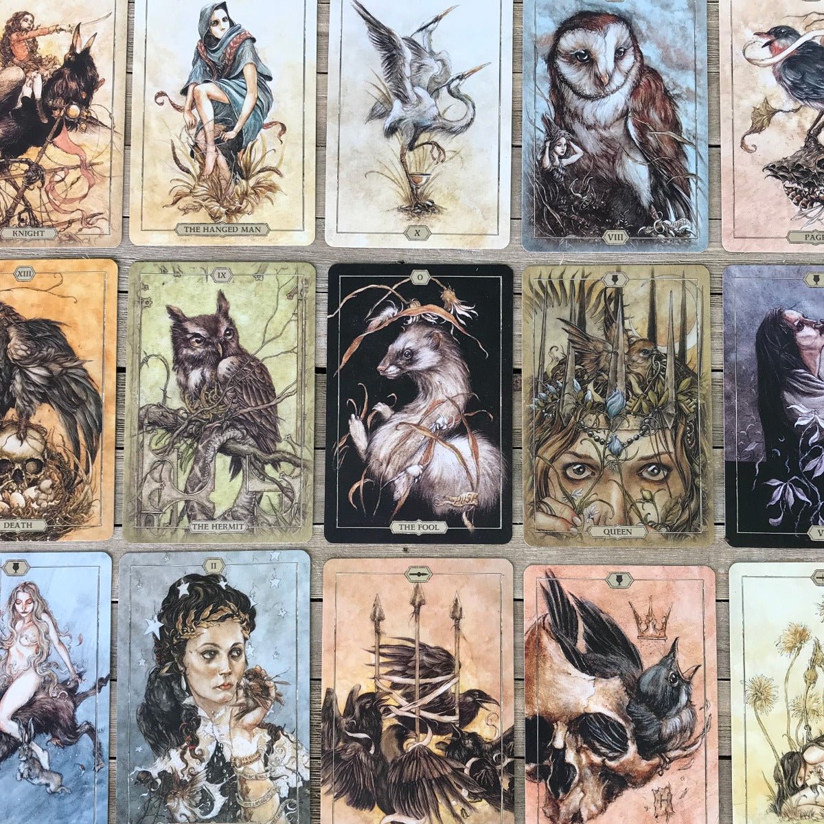 Hush Tarot - 13 Moons