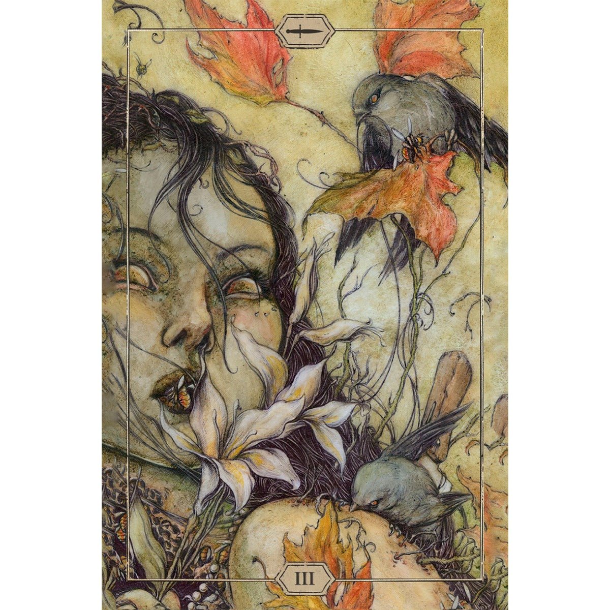 Hush Tarot - 13 Moons