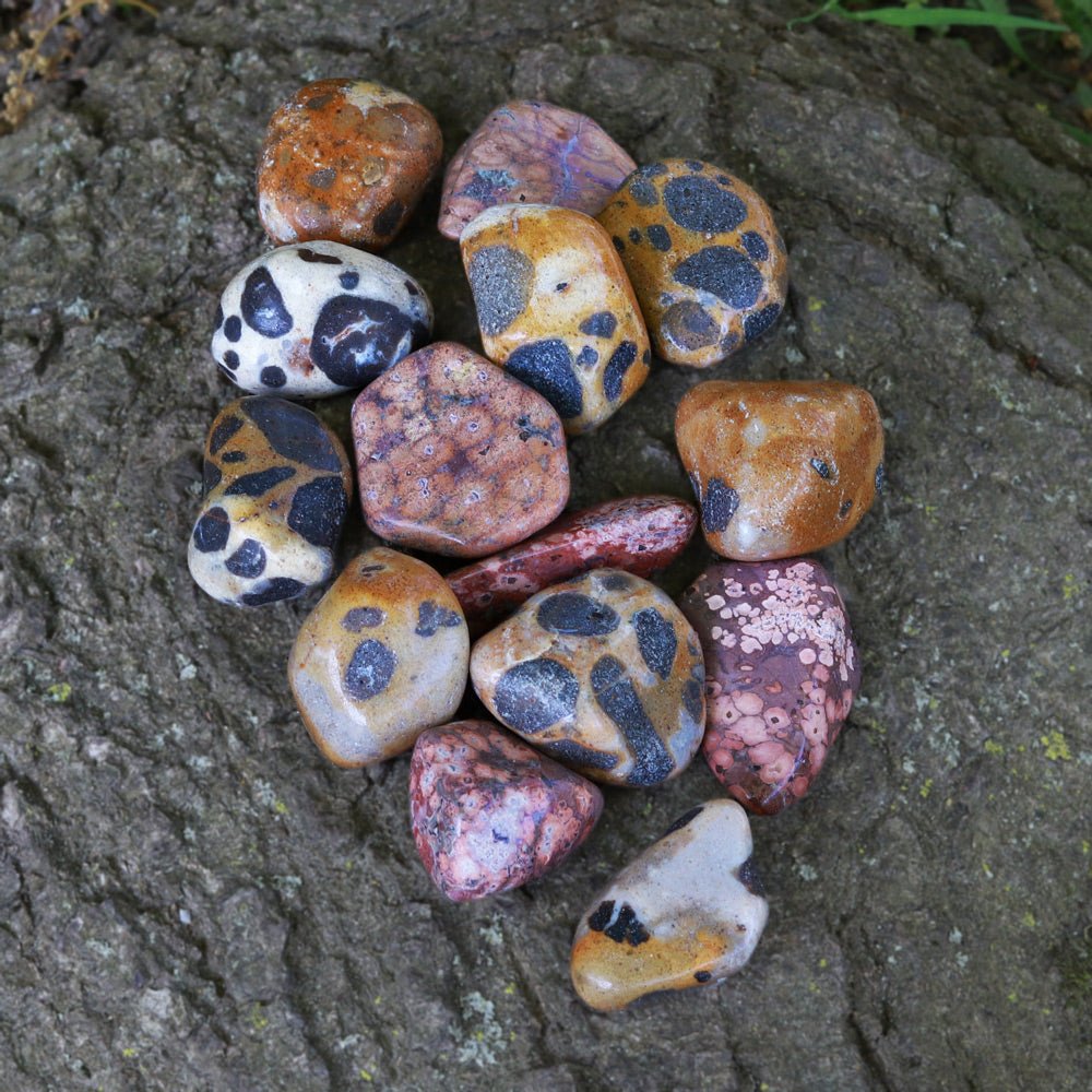 Jasper, Leopard Skin Tumbled Stone - 13 Moons