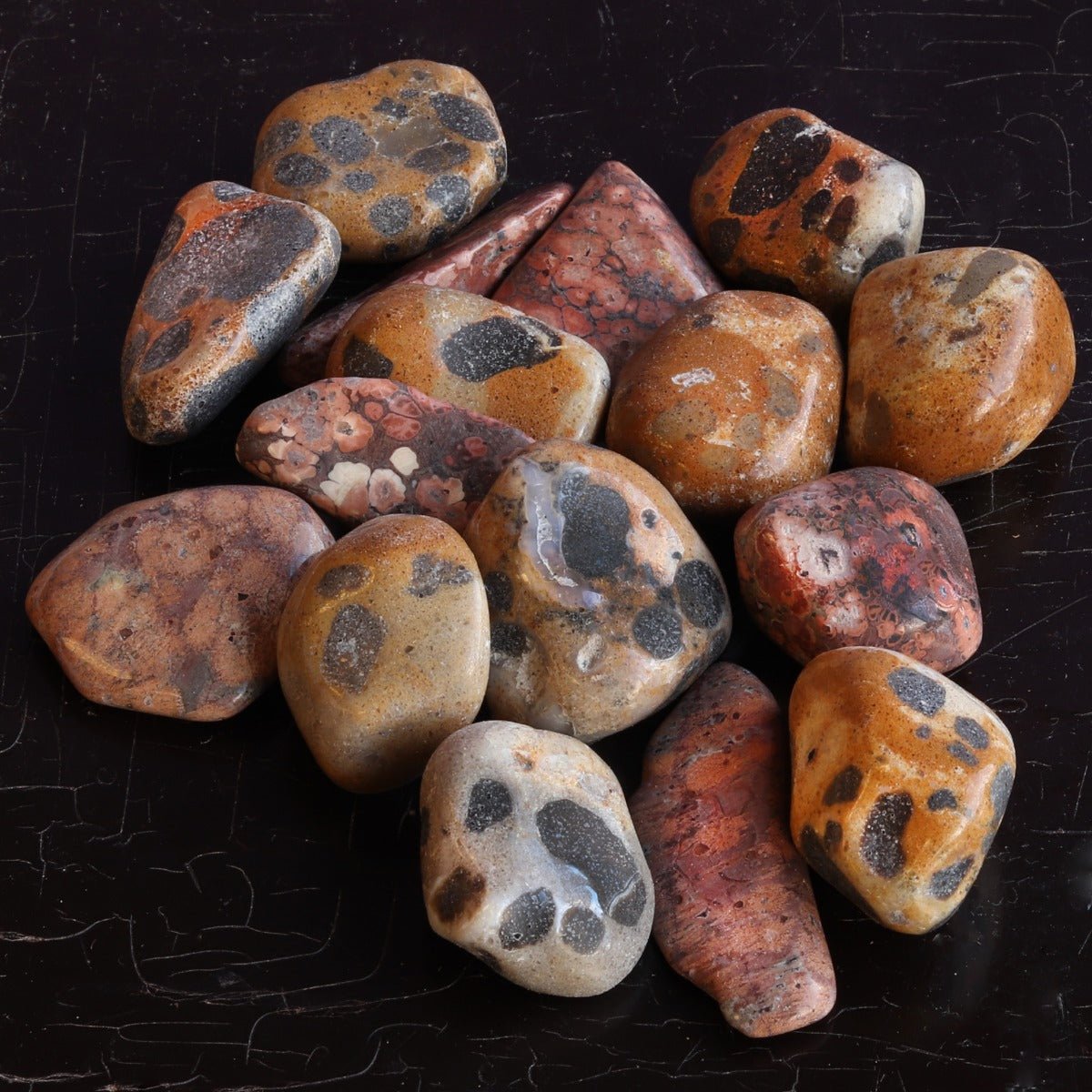 Jasper, Leopard Skin Tumbled Stone - 13 Moons